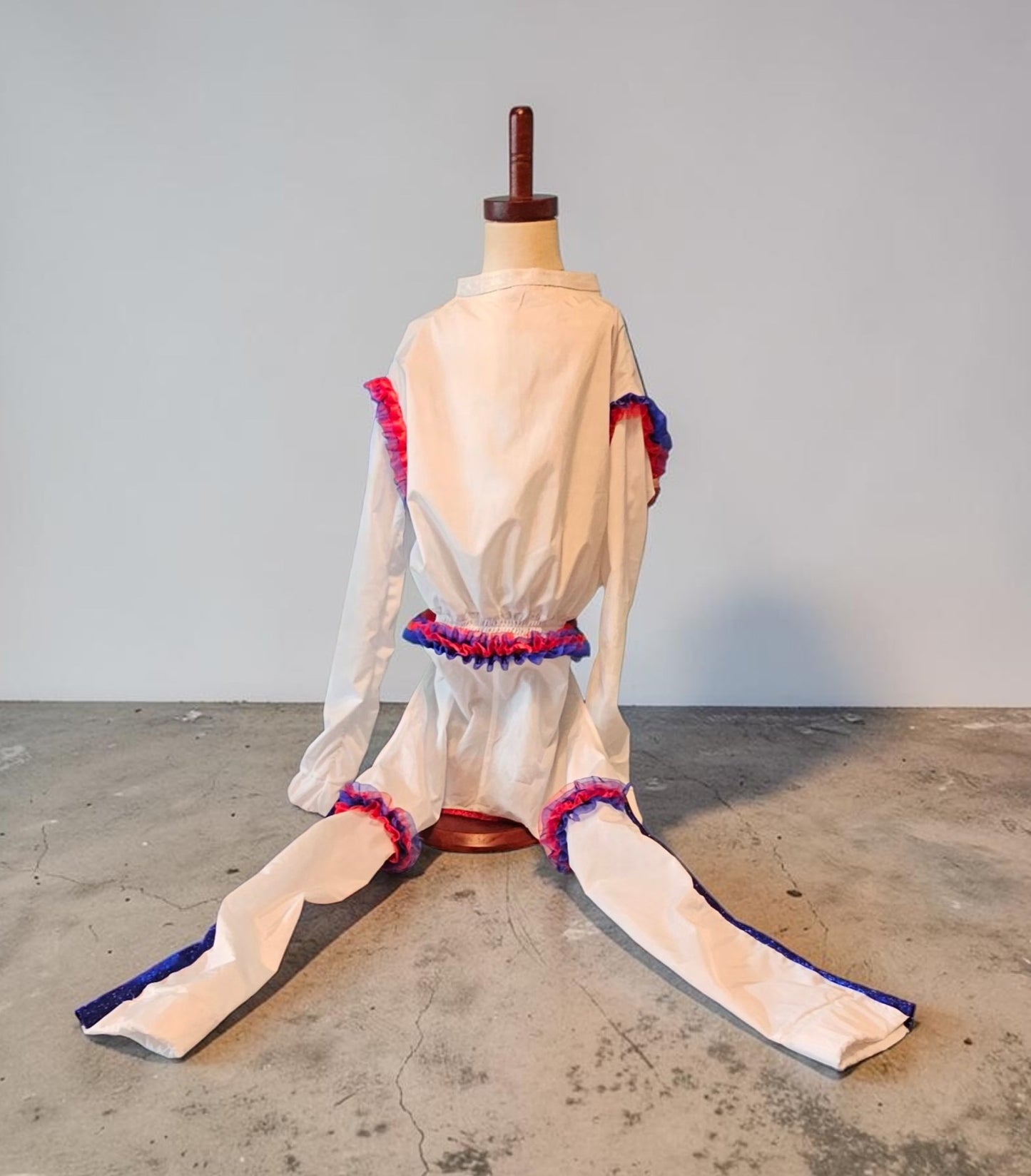 80s USA pet track suit, Whitney super bowl pet costume