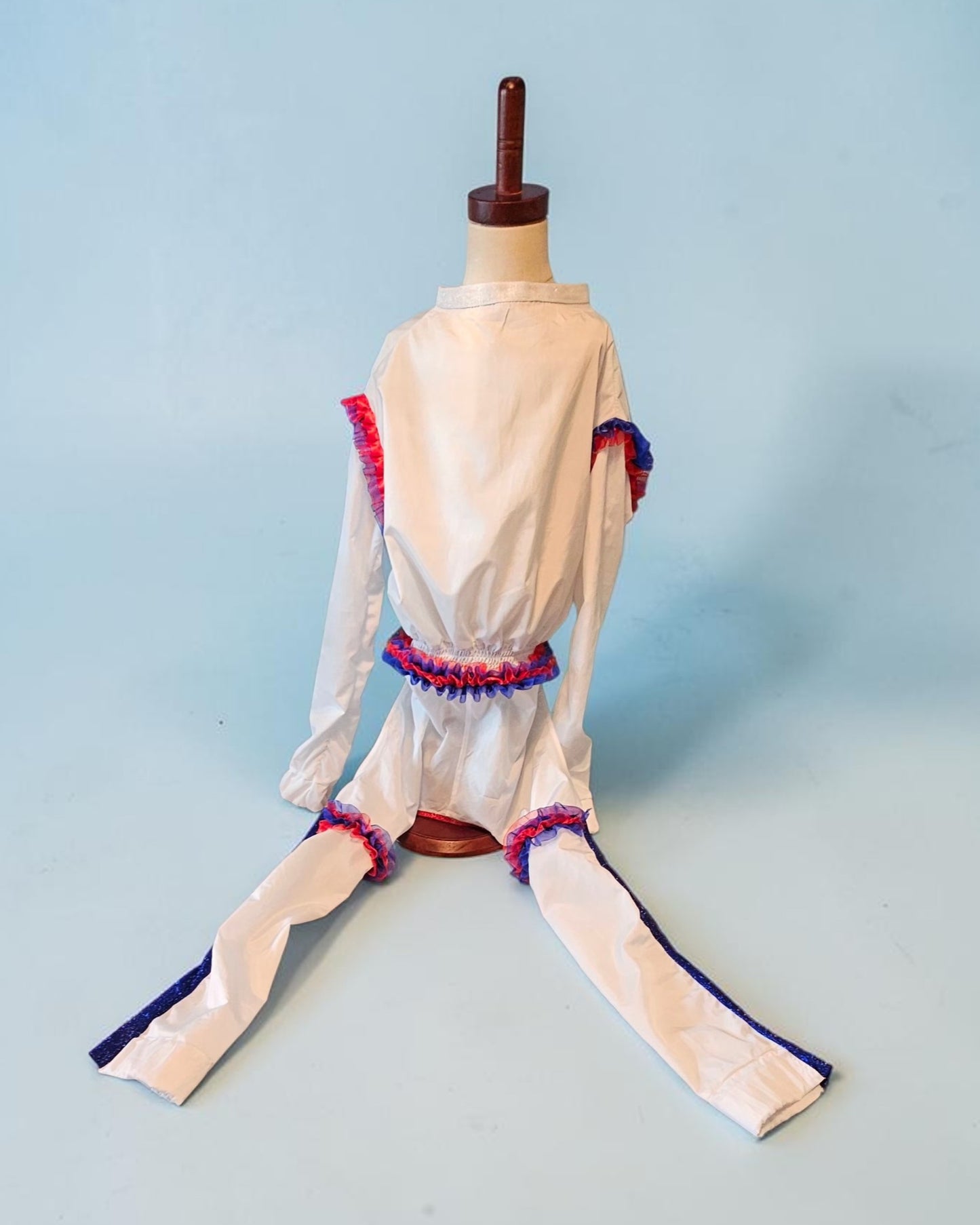 80s USA pet track suit, Whitney super bowl pet costume