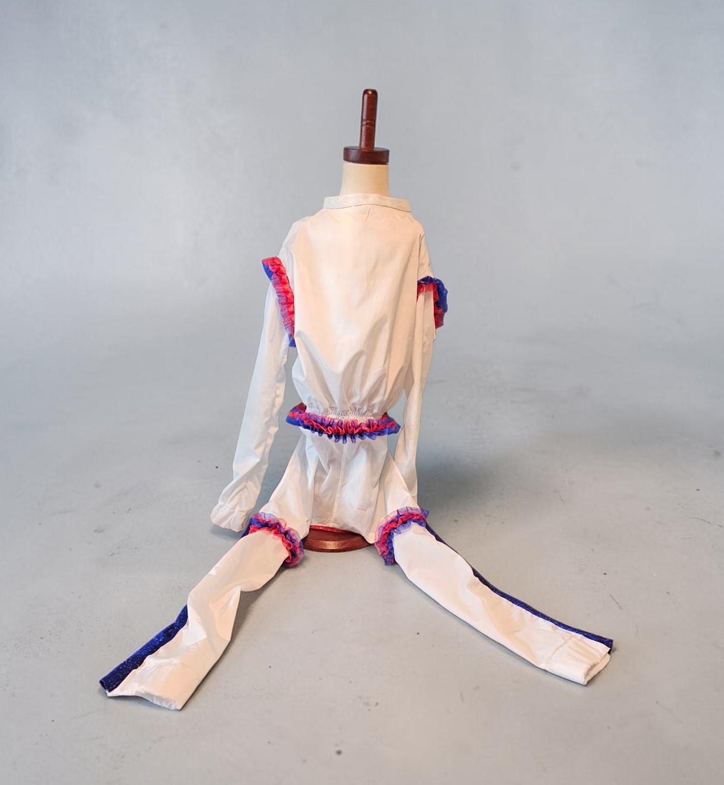 80s USA pet track suit, Whitney super bowl pet costume
