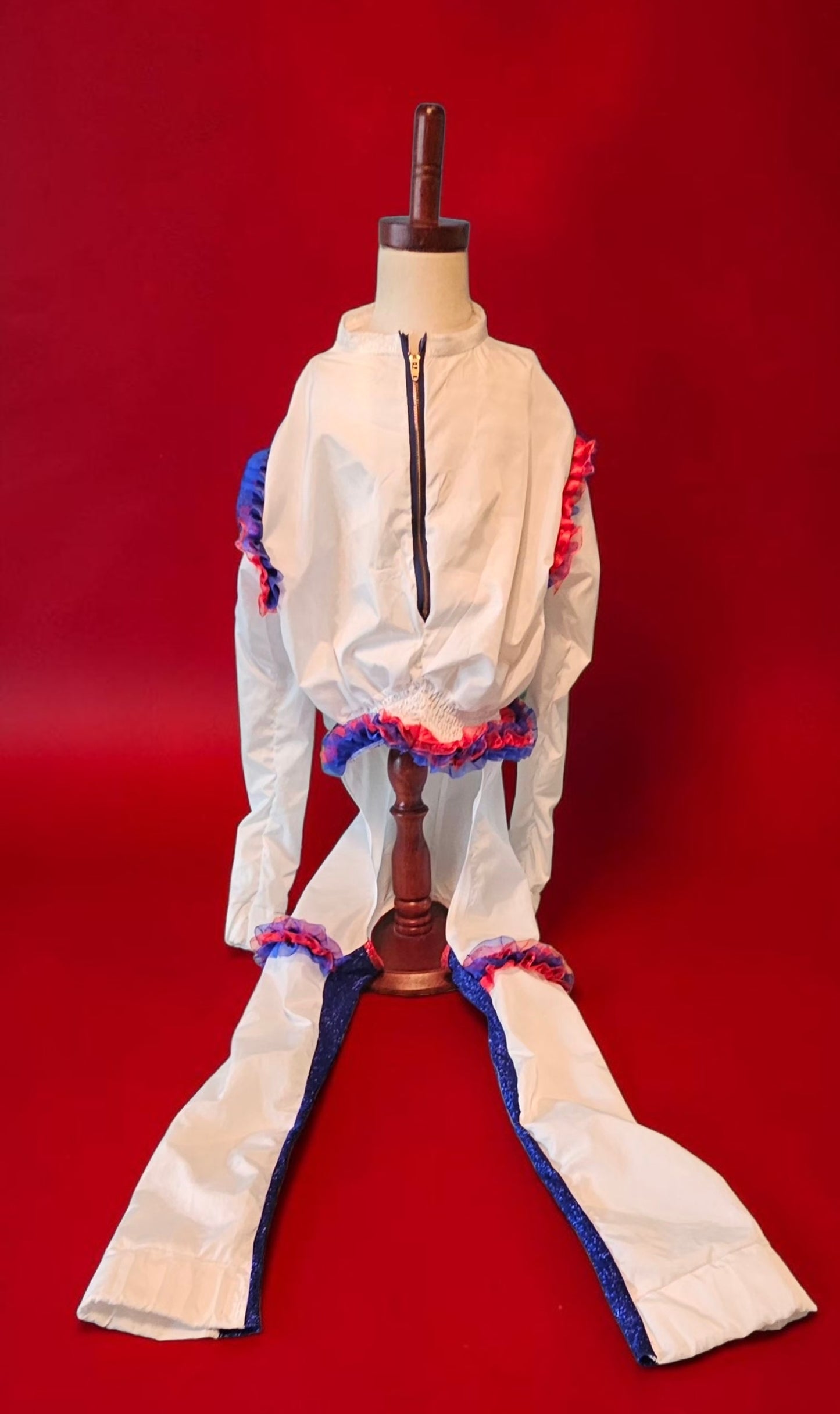 80s USA pet track suit, Whitney super bowl pet costume