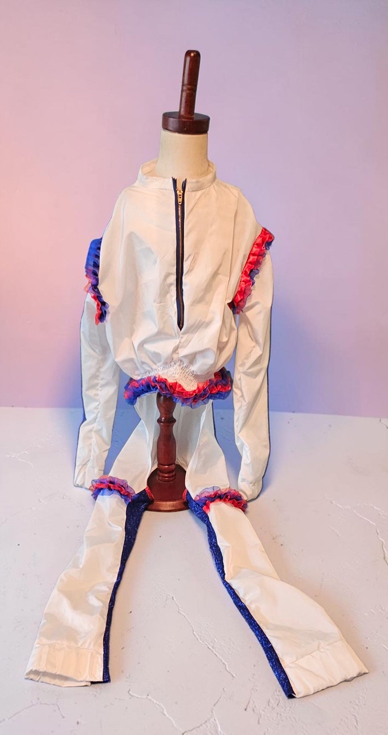 80s USA pet track suit, Whitney super bowl pet costume