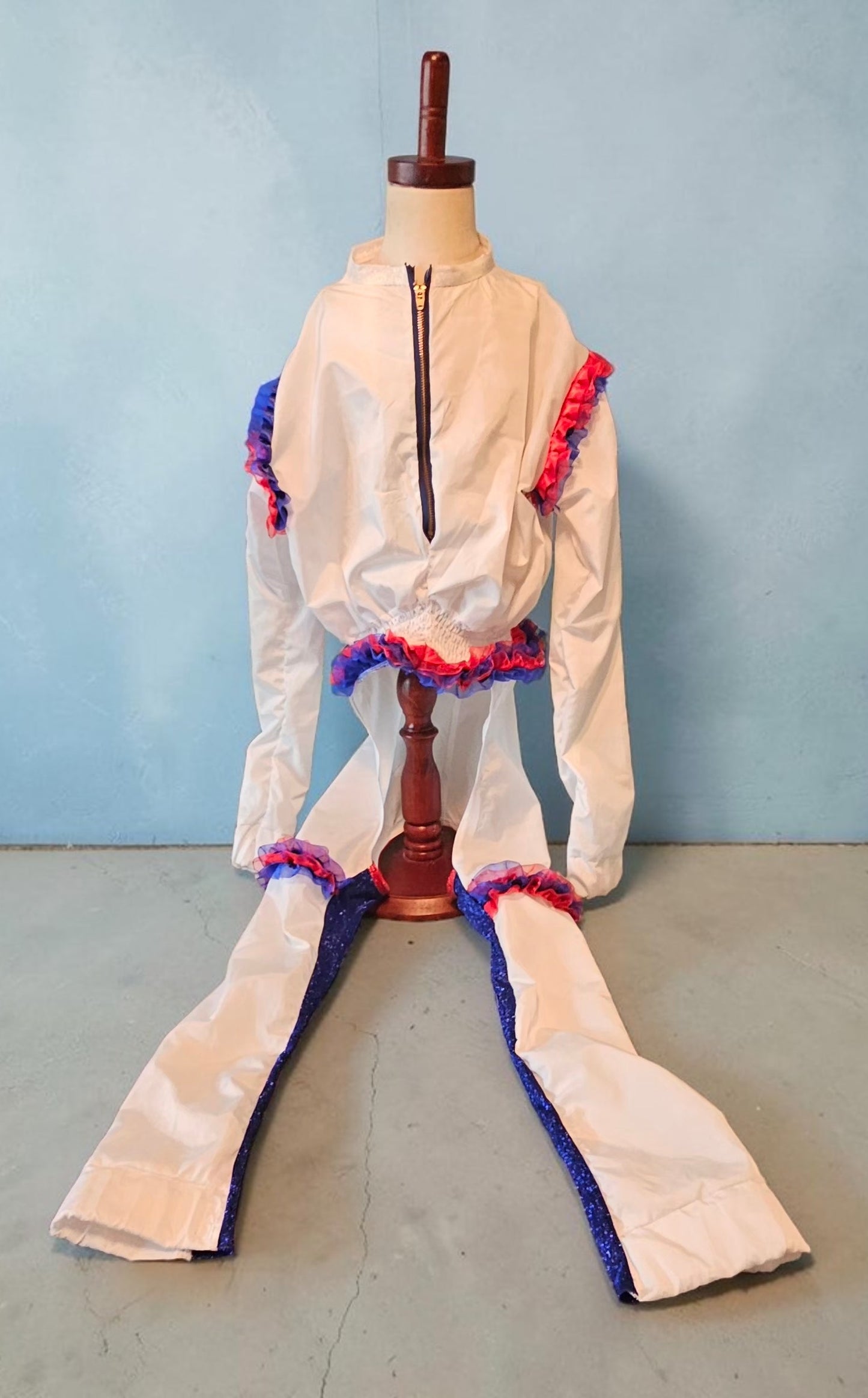 80s USA pet track suit, Whitney super bowl pet costume