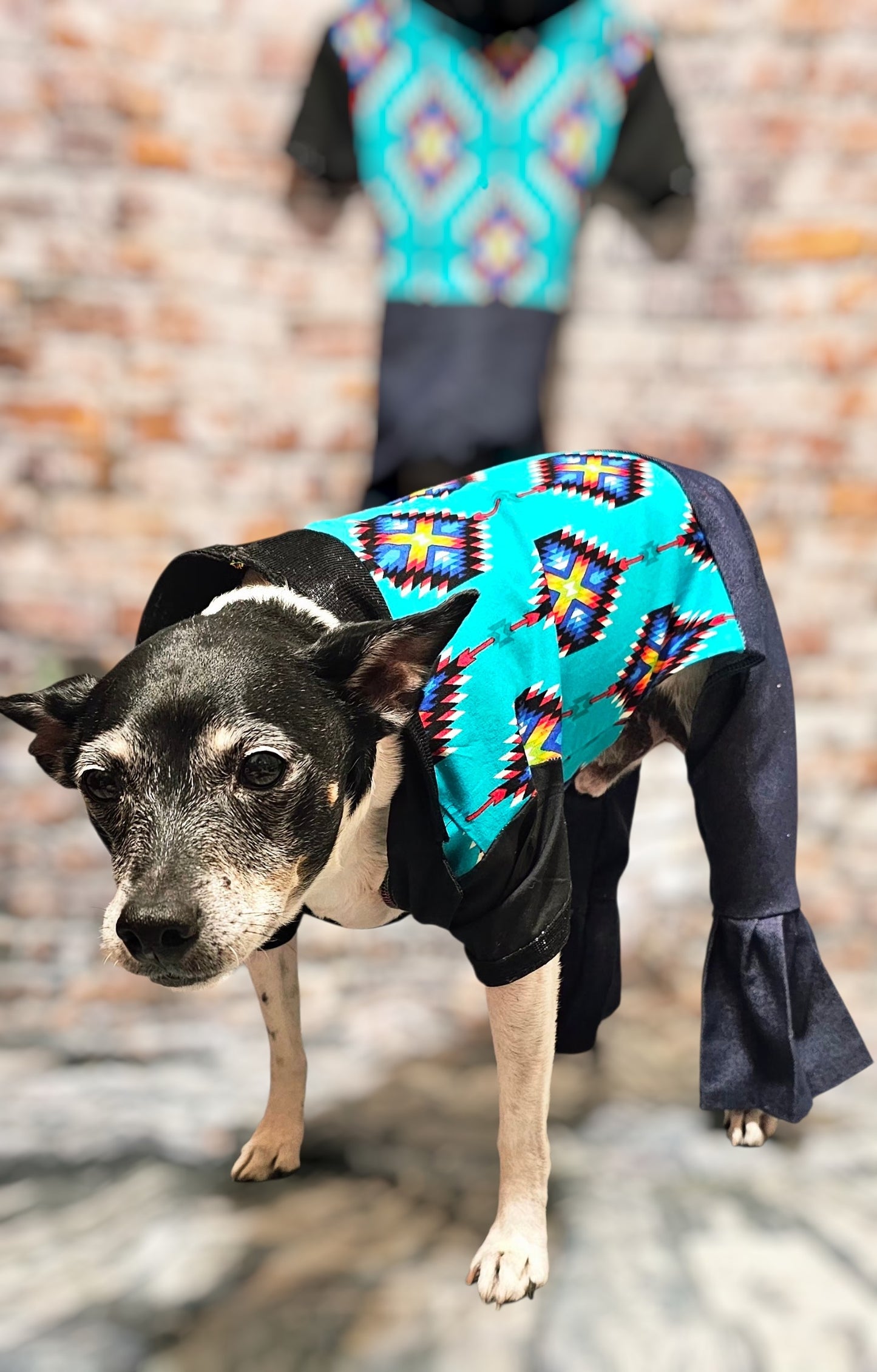 Aztec print with blue jean pet body suit, western aztecbody suit with bell bottoms