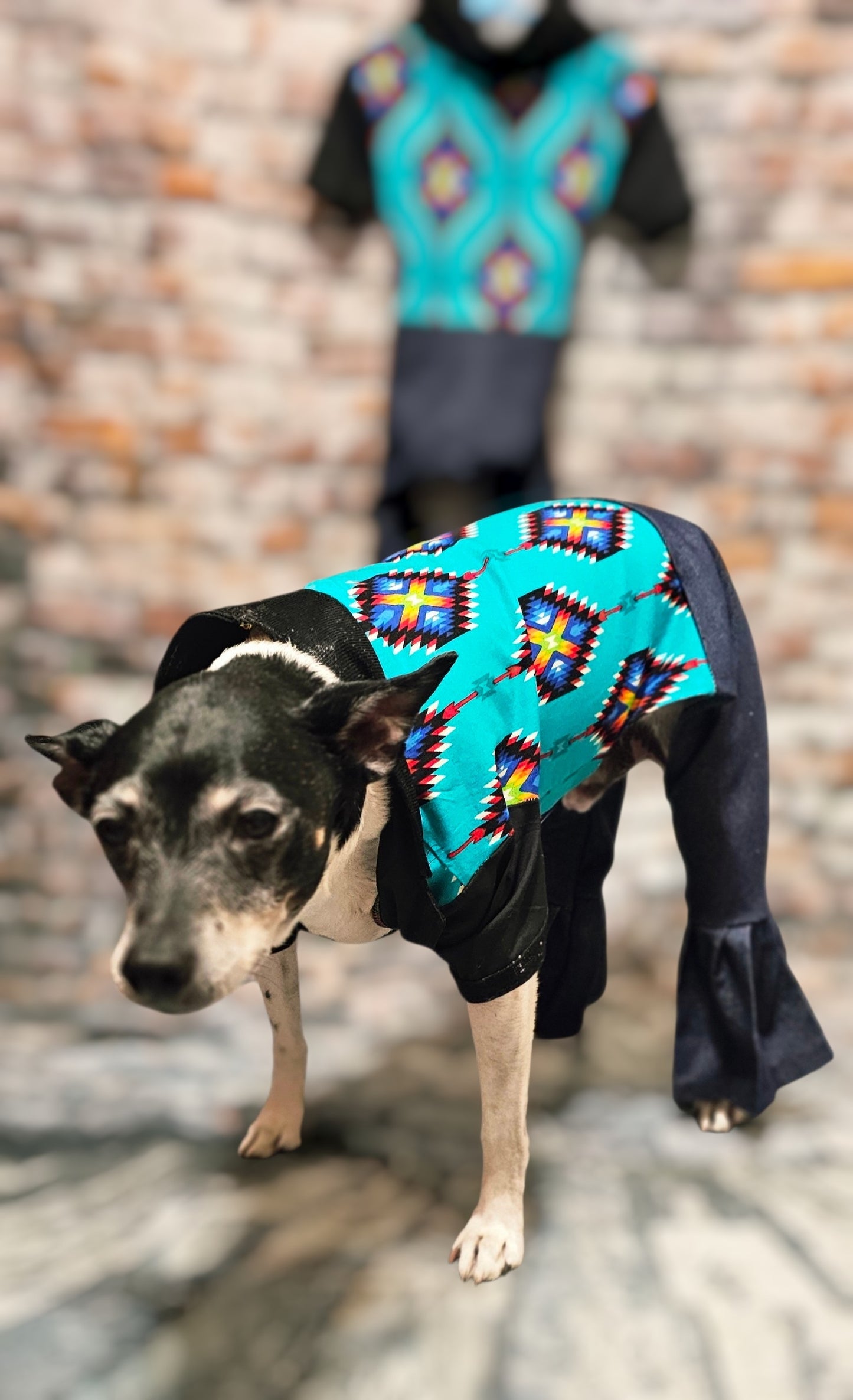 Aztec print with blue jean pet body suit, western aztecbody suit with bell bottoms