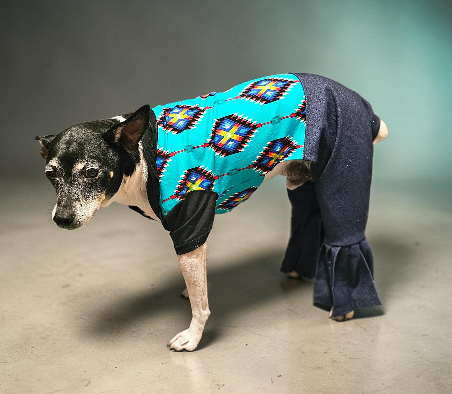 Aztec print with blue jean pet body suit, western aztecbody suit with bell bottoms