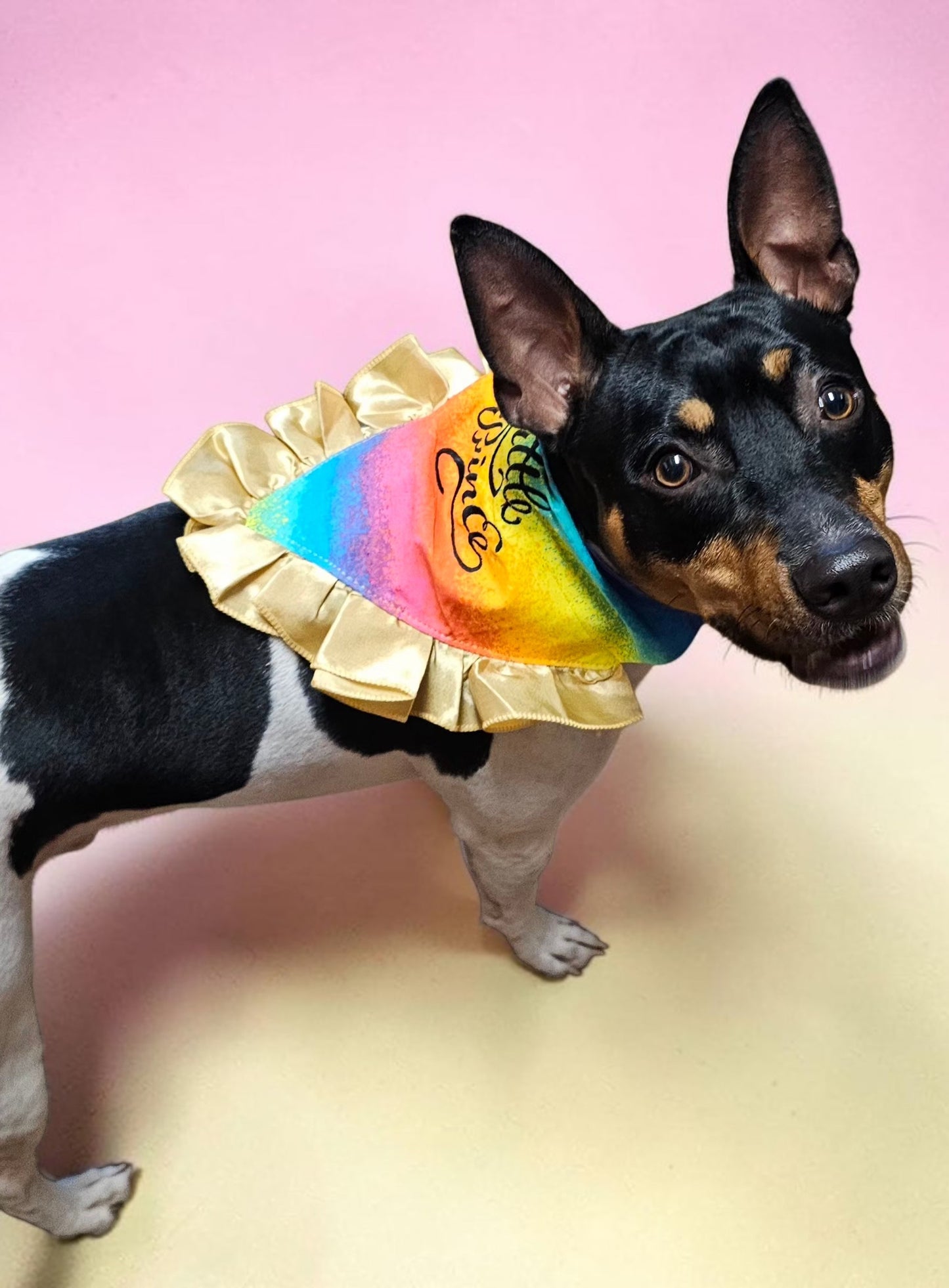 Custom embroidered pet bandana, ruffle rainbow pet bandana, slip-on dog bandana