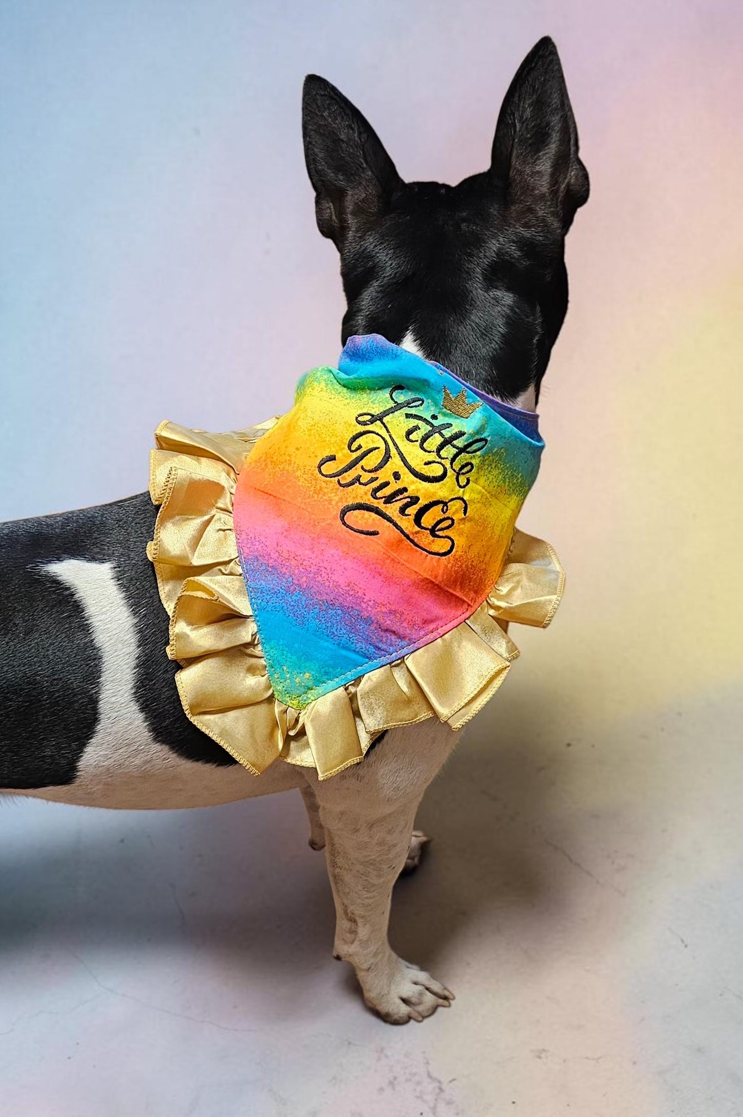 Custom embroidered pet bandana, ruffle rainbow pet bandana, slip-on dog bandana