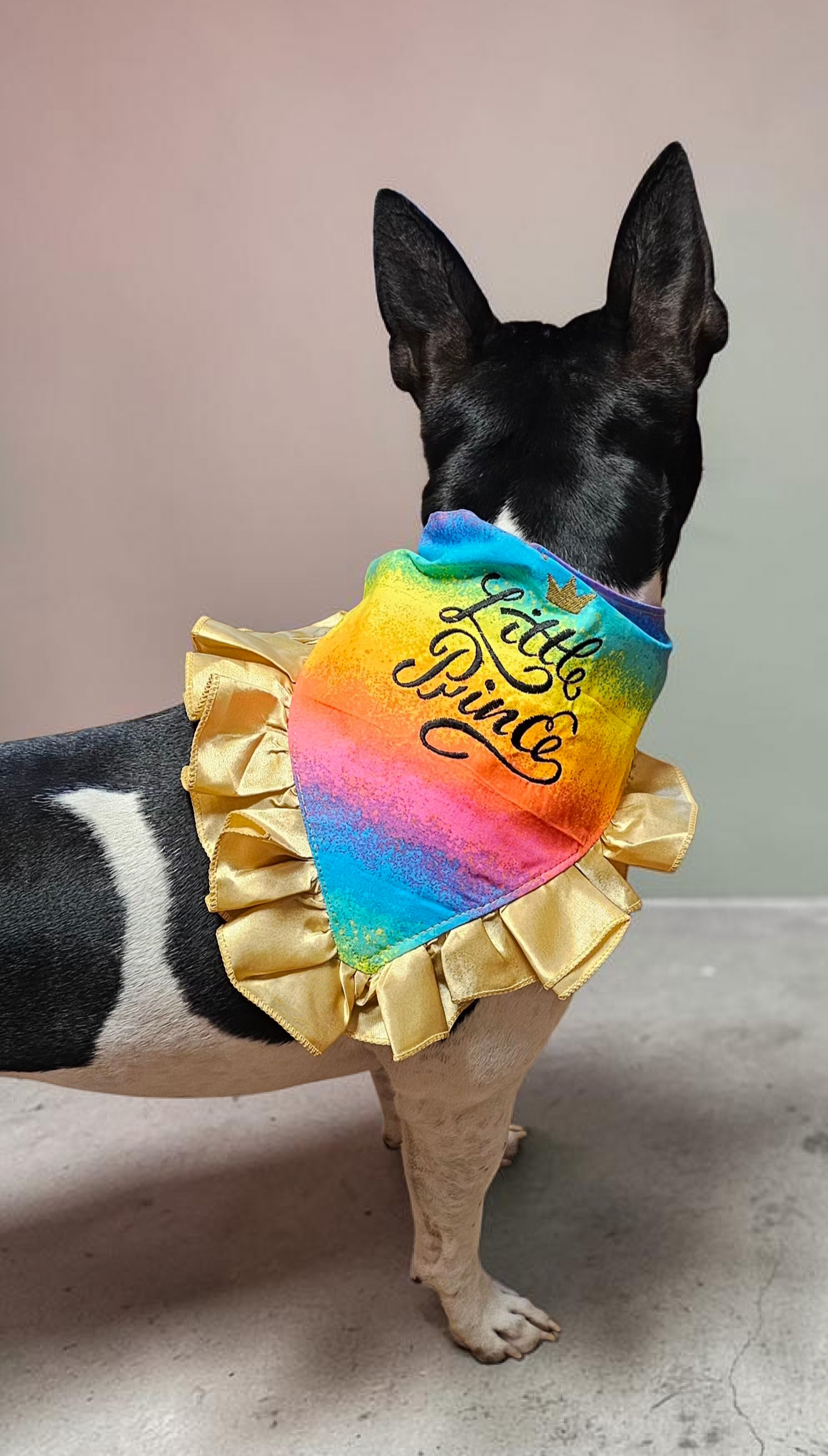 Custom embroidered pet bandana, ruffle rainbow pet bandana, slip-on dog bandana