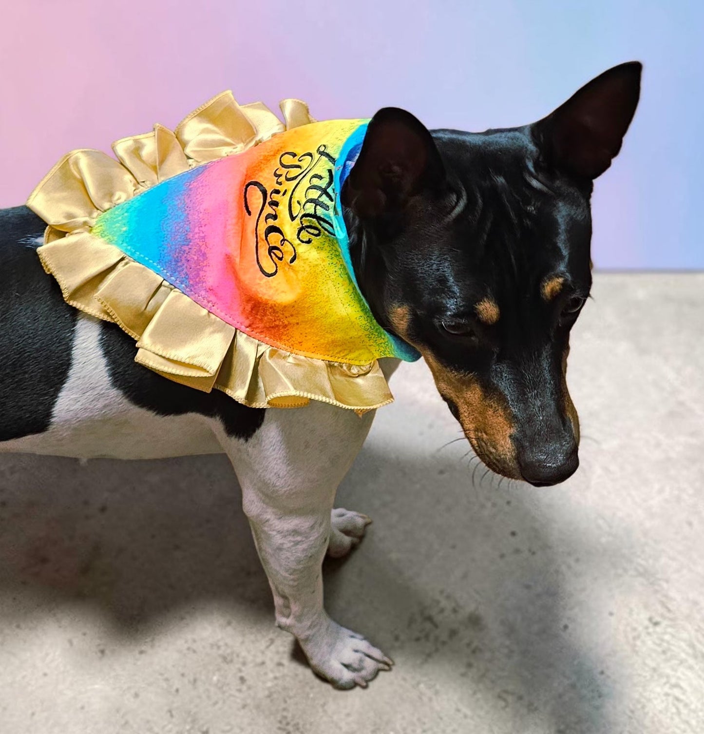 Custom embroidered pet bandana, ruffle rainbow pet bandana, slip-on dog bandana