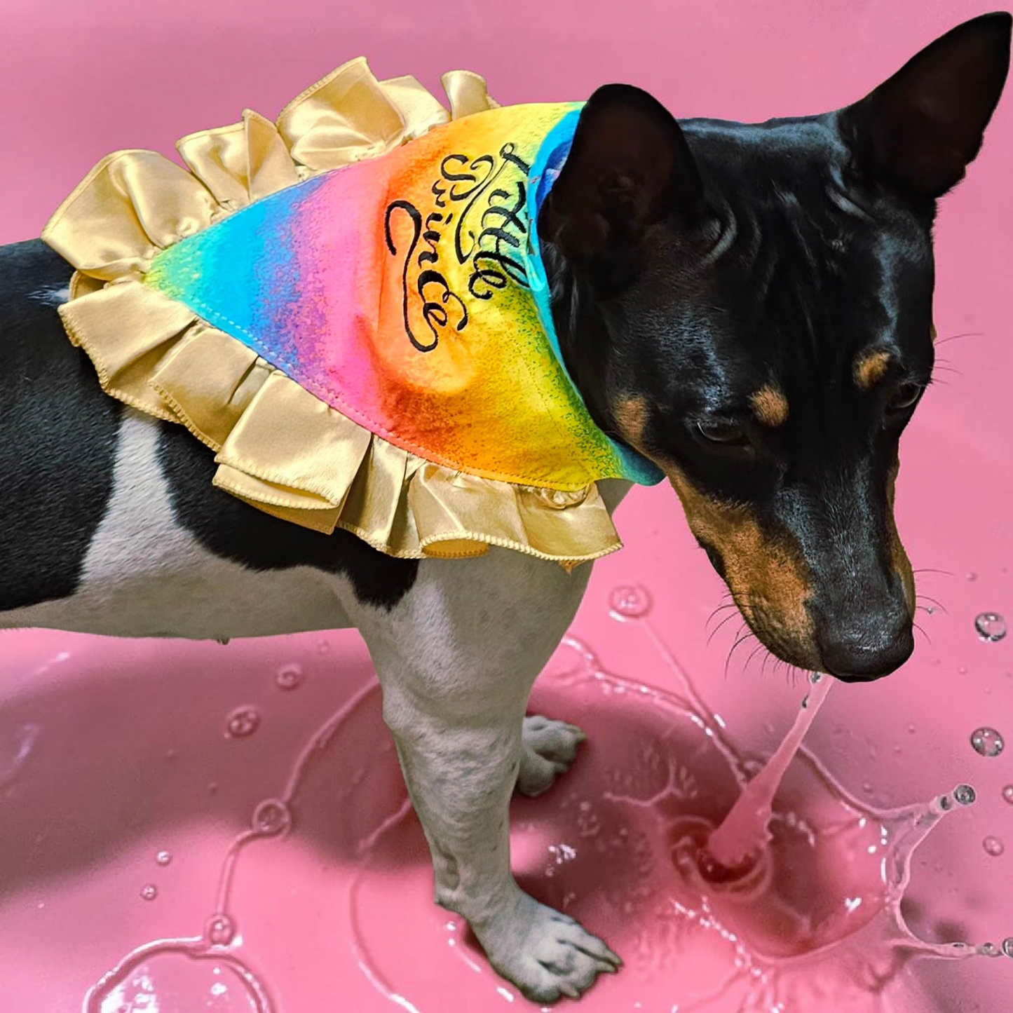 Custom embroidered pet bandana, ruffle rainbow pet bandana, slip-on dog bandana