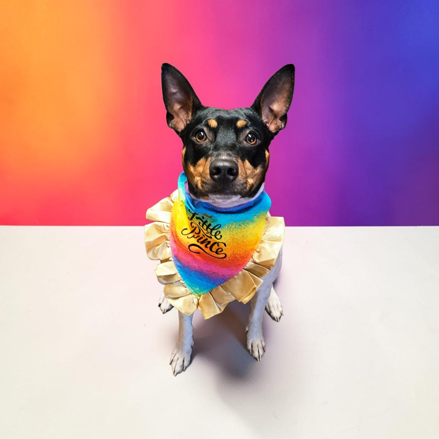 Custom embroidered pet bandana, ruffle rainbow pet bandana, slip-on dog bandana