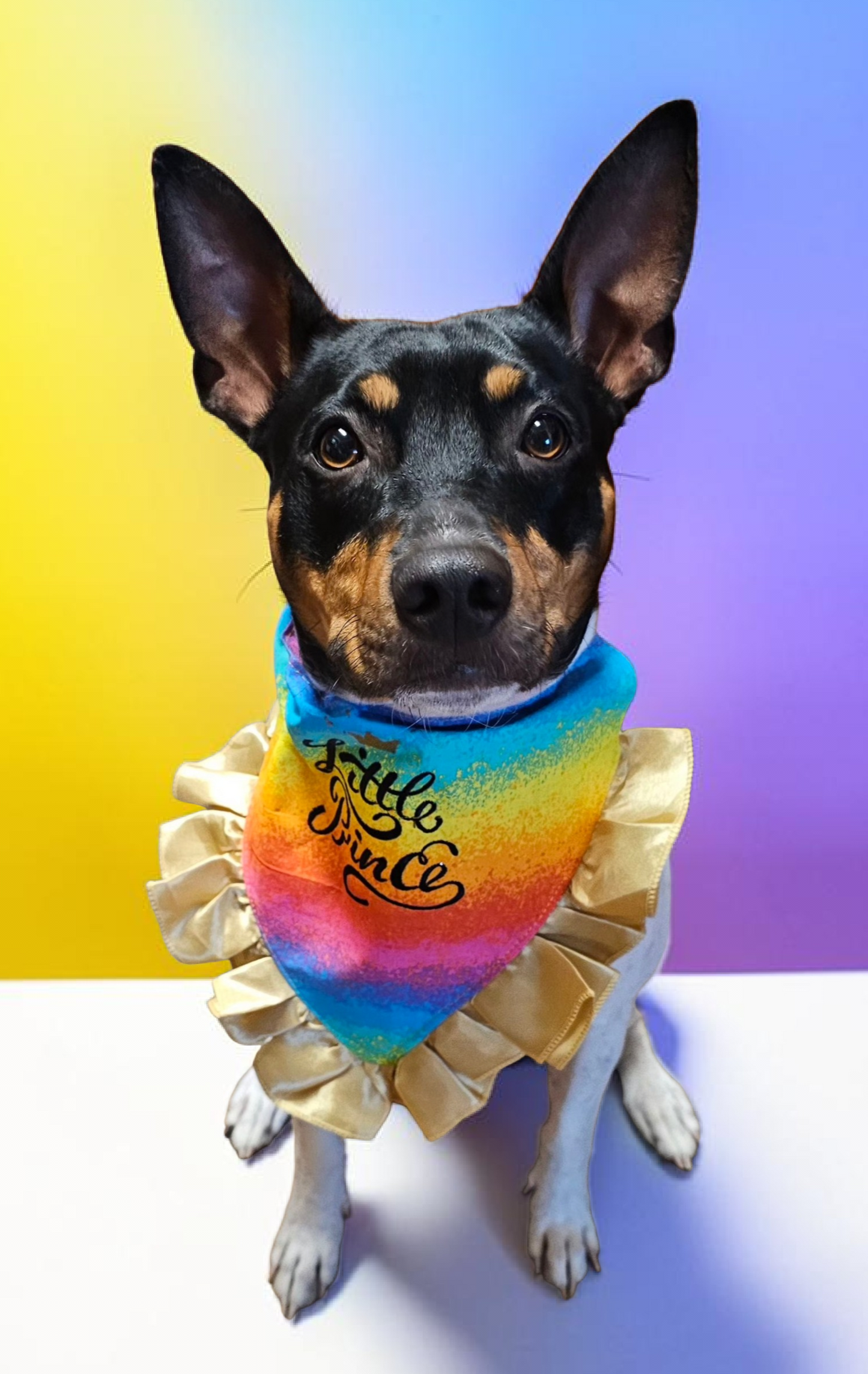 Custom embroidered pet bandana, ruffle rainbow pet bandana, slip-on dog bandana