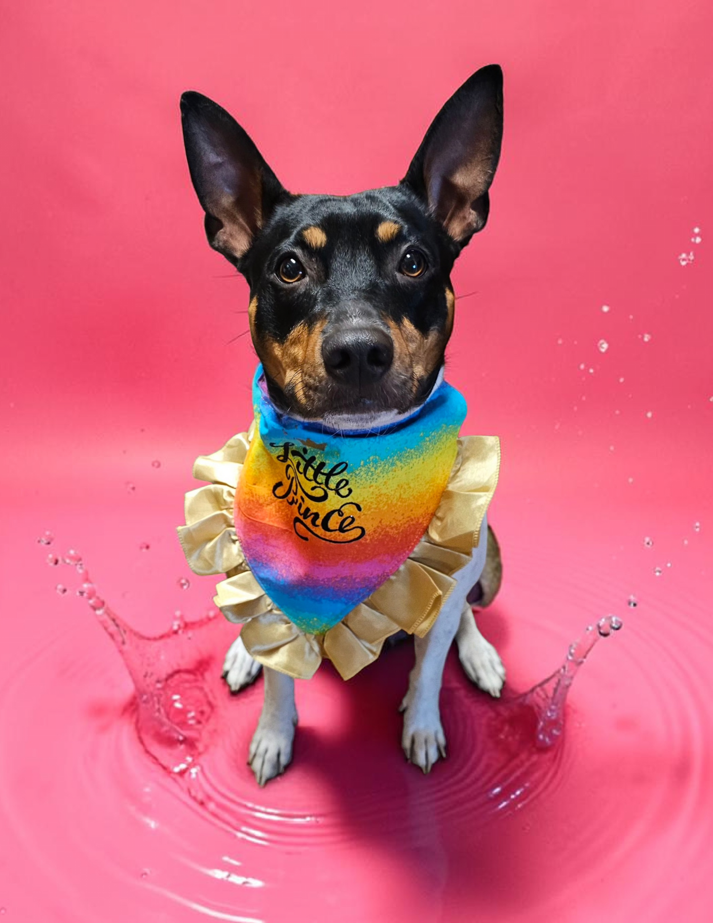 Custom embroidered pet bandana, ruffle rainbow pet bandana, slip-on dog bandana