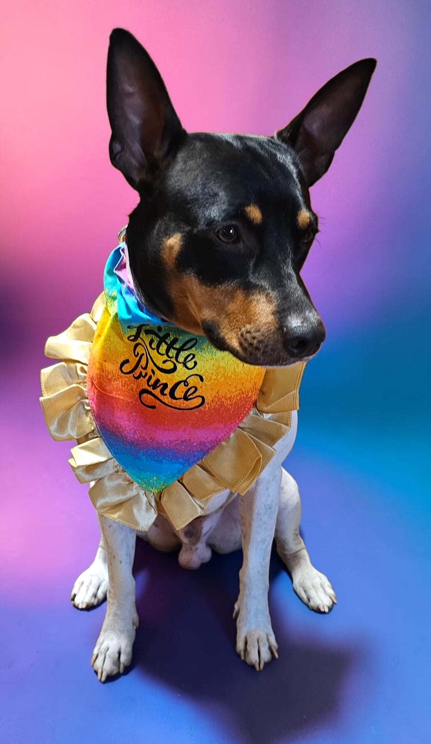 Custom embroidered pet bandana, ruffle rainbow pet bandana, slip-on dog bandana