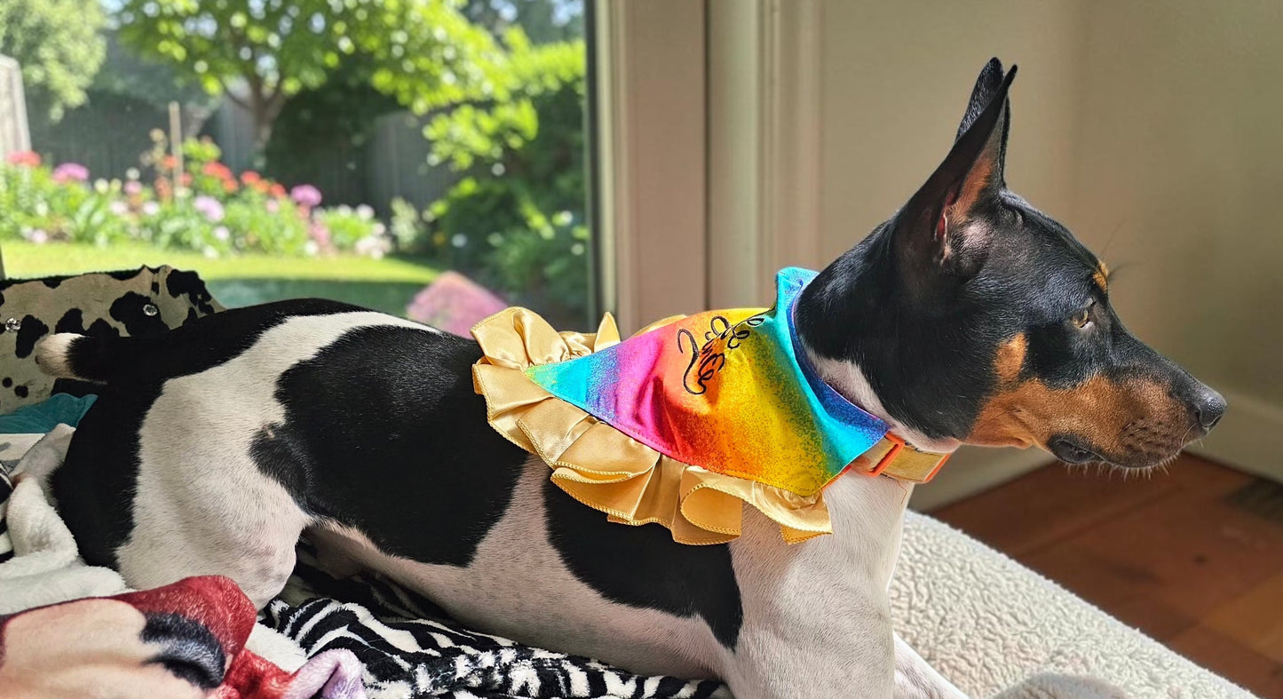 Custom embroidered pet bandana, ruffle rainbow pet bandana, slip-on dog bandana