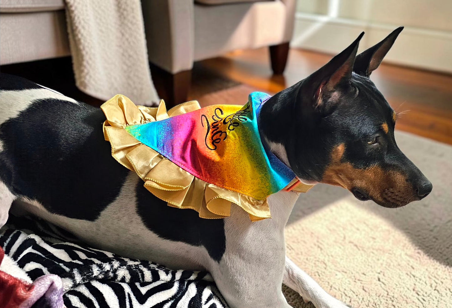 Custom embroidered pet bandana, ruffle rainbow pet bandana, slip-on dog bandana