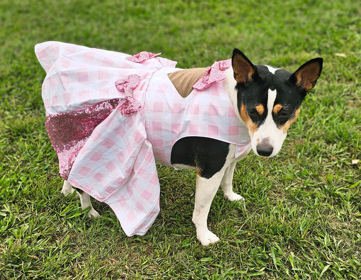 Pink gingham pet dress, megan moroney replica pet dress