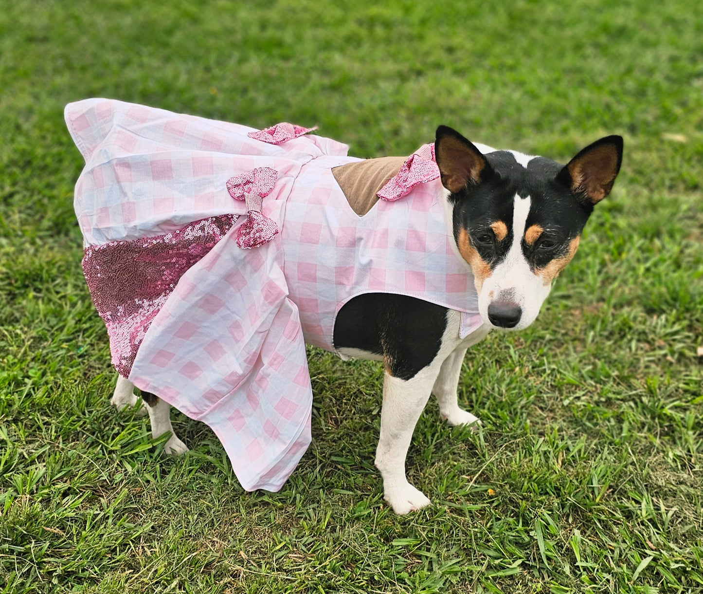 Pink gingham pet dress, megan moroney replica pet dress