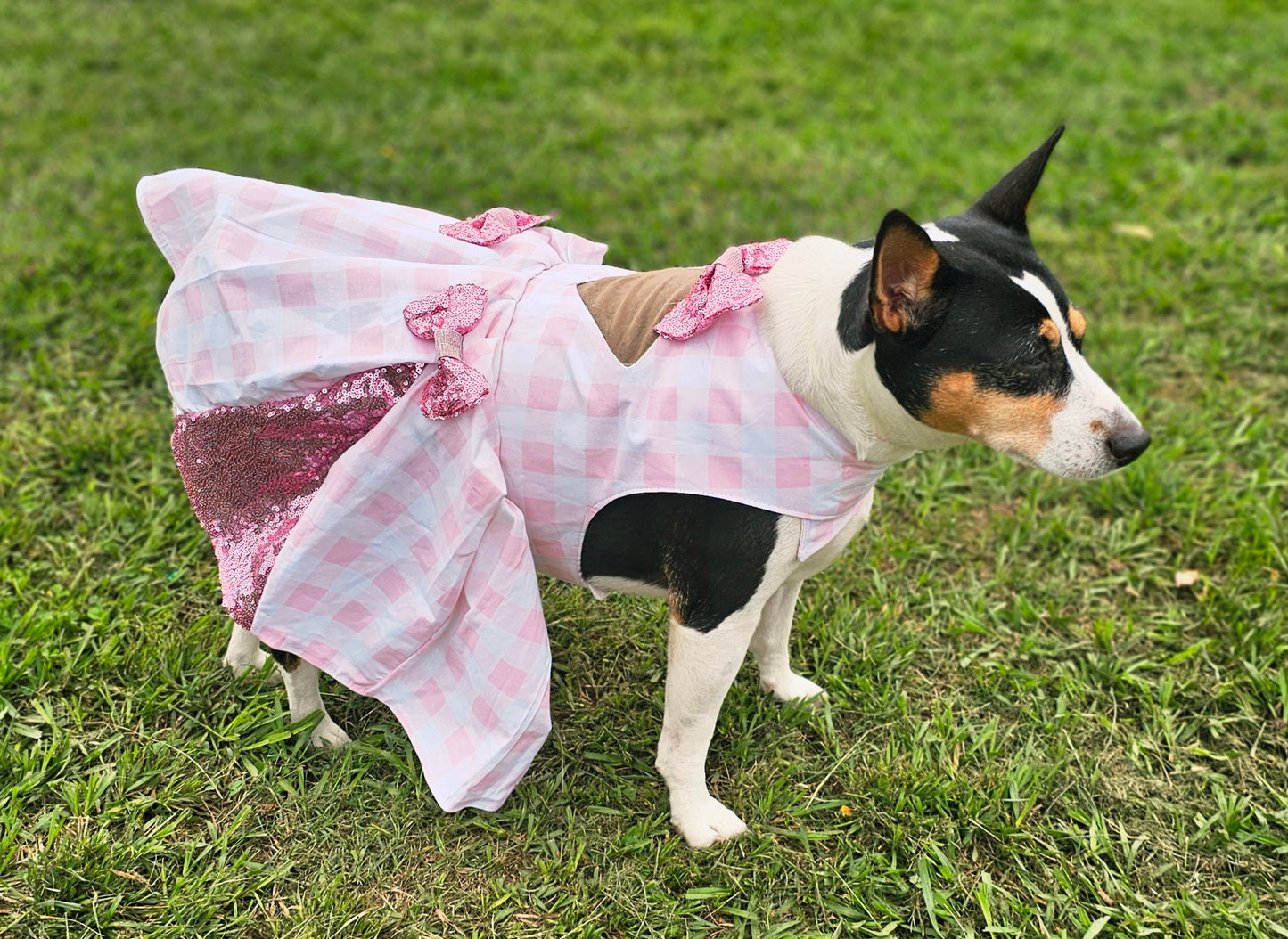Pink gingham pet dress, megan moroney replica pet dress