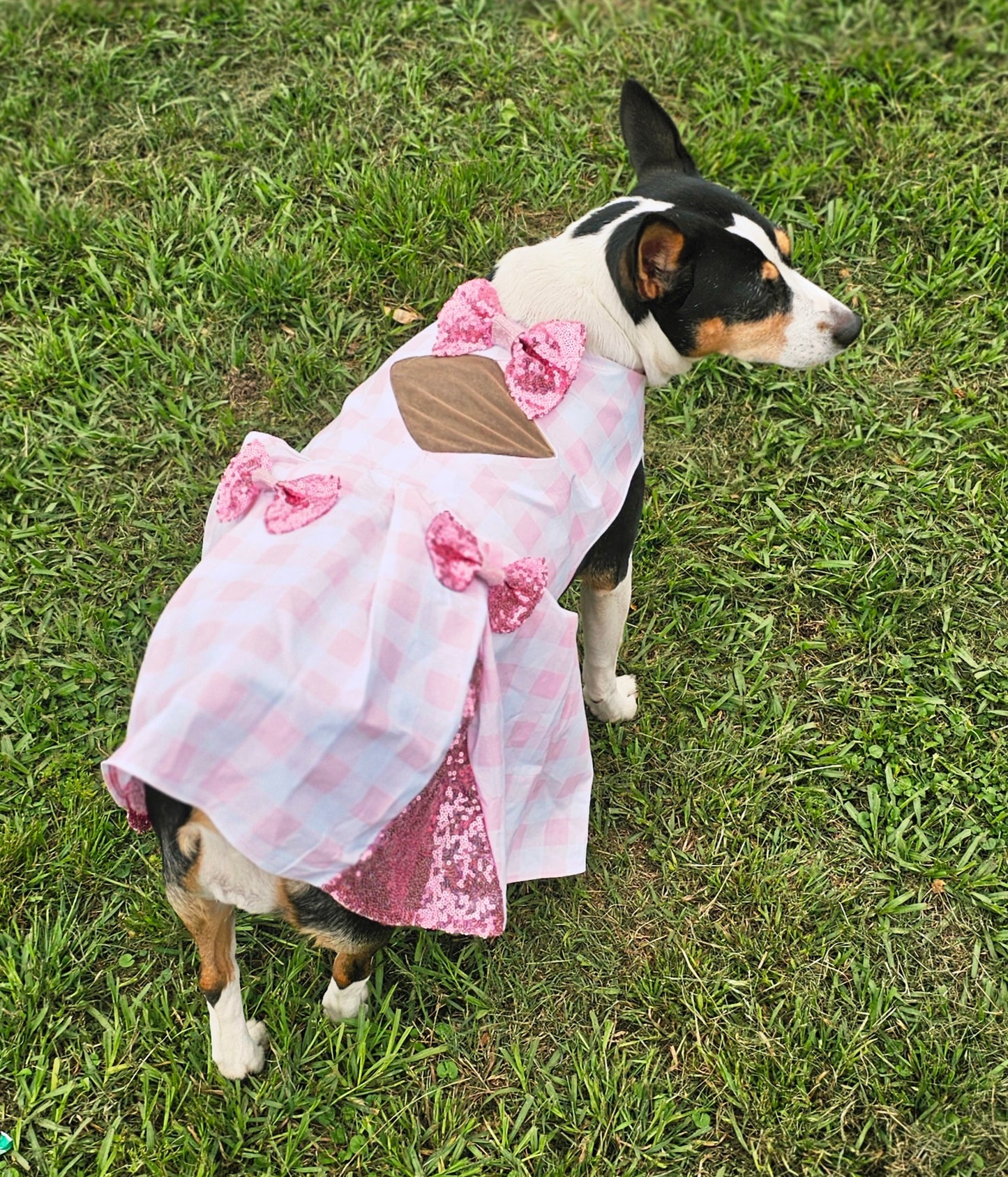 Pink gingham pet dress, megan moroney replica pet dress