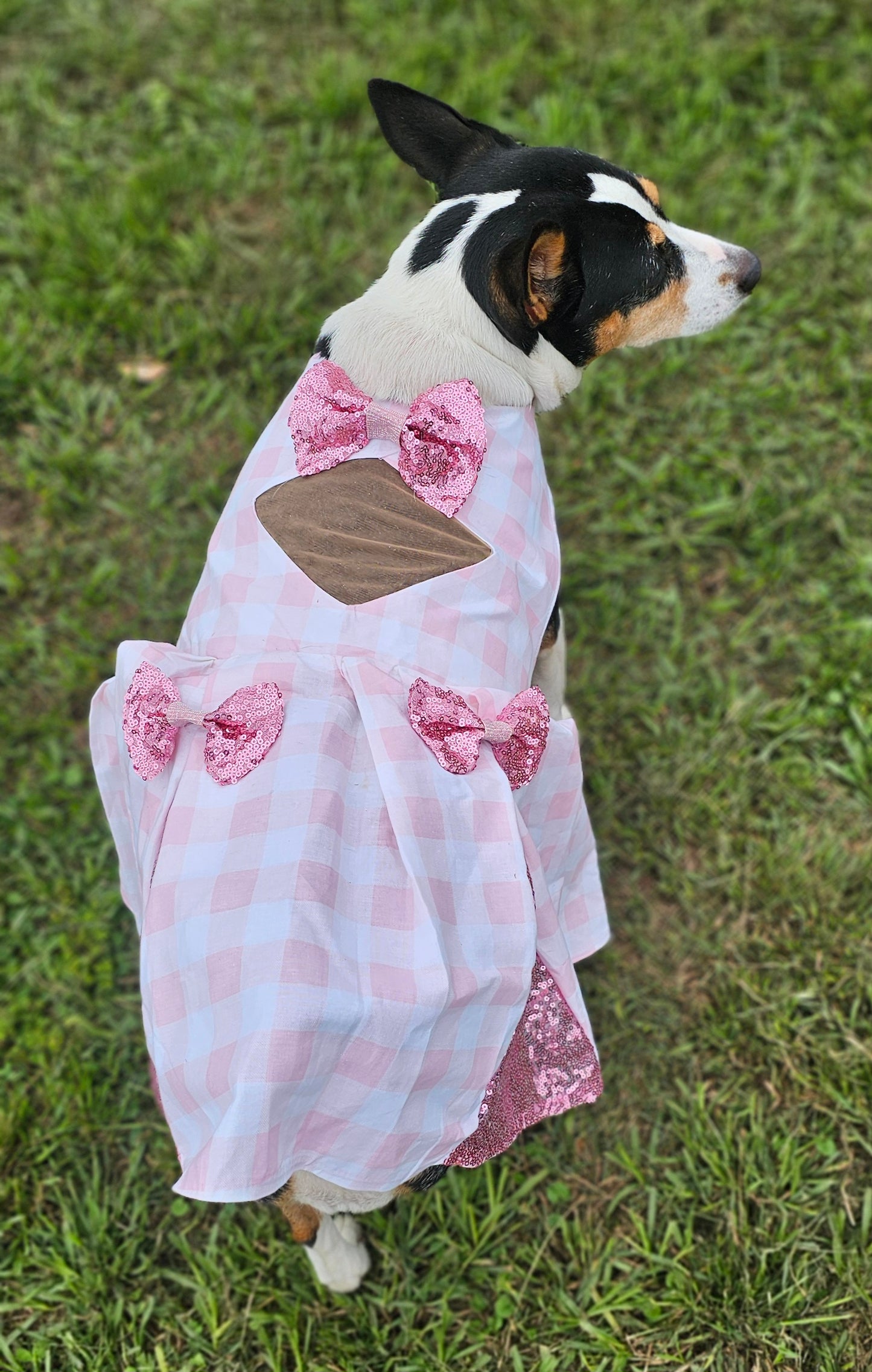 Pink gingham pet dress, megan moroney replica pet dress