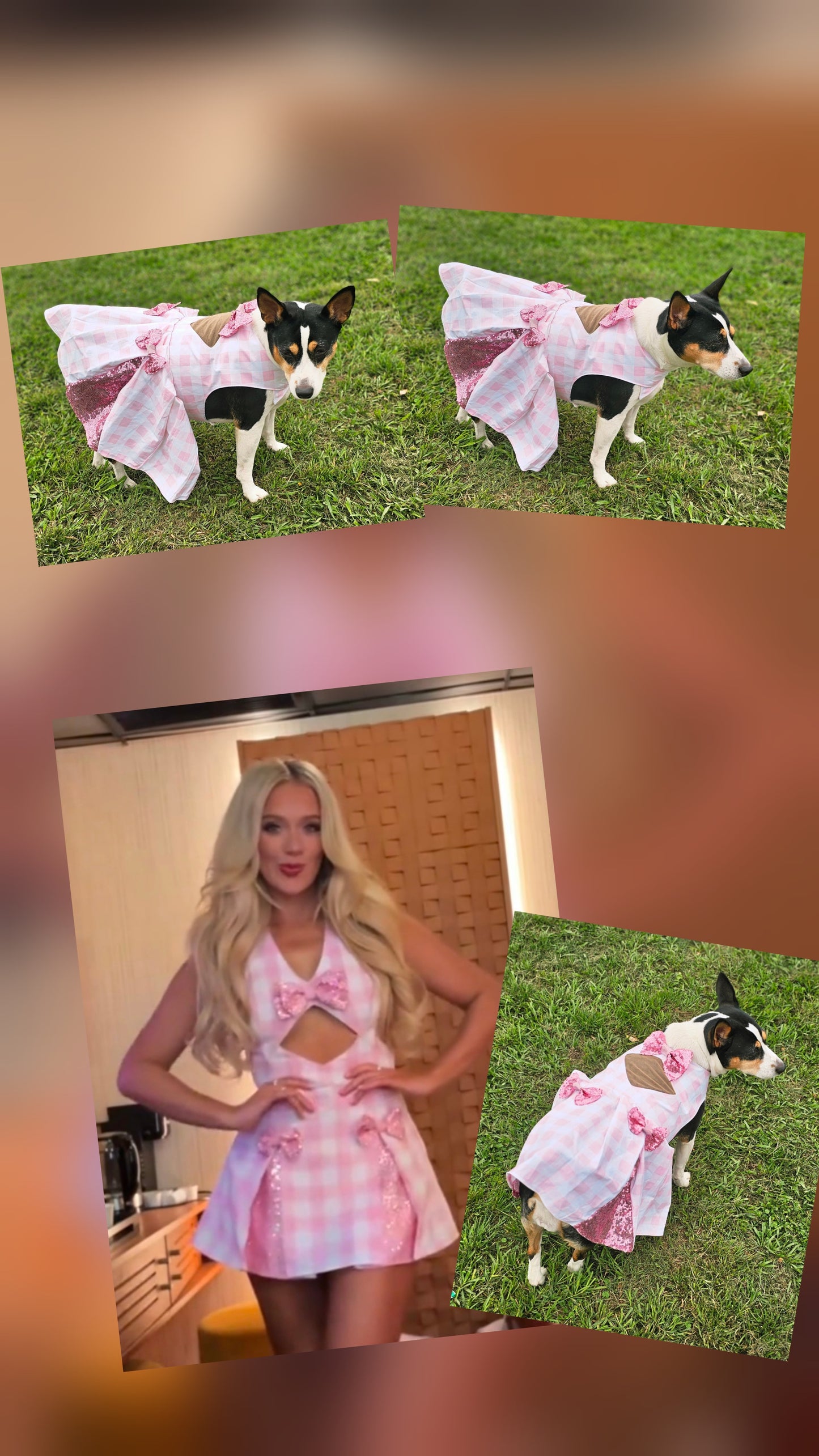 Pink gingham pet dress, megan moroney replica pet dress