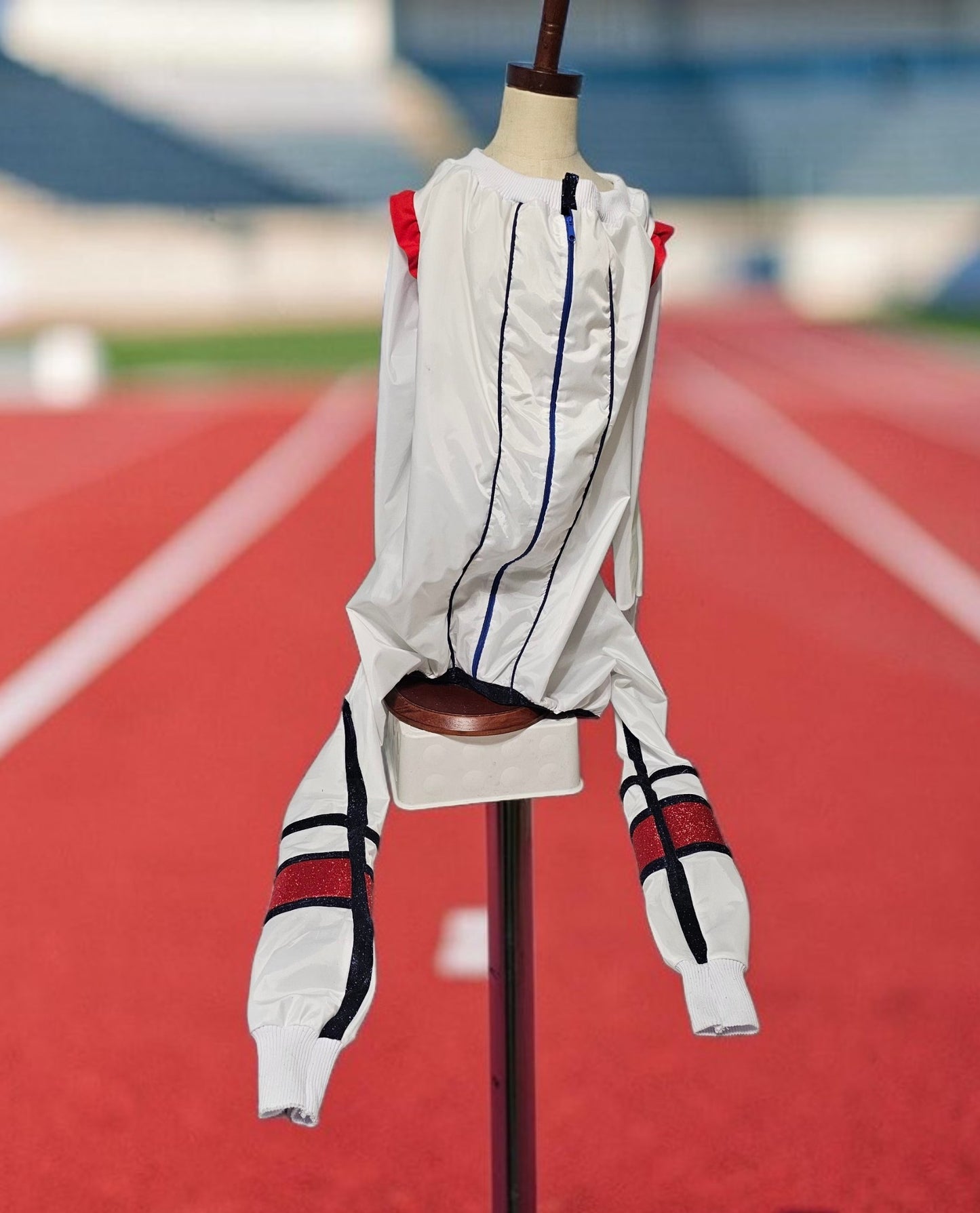 80s USA pet track suit, Whitney super bowl pet costume
