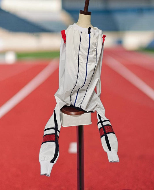 80s USA pet track suit, Whitney super bowl pet costume