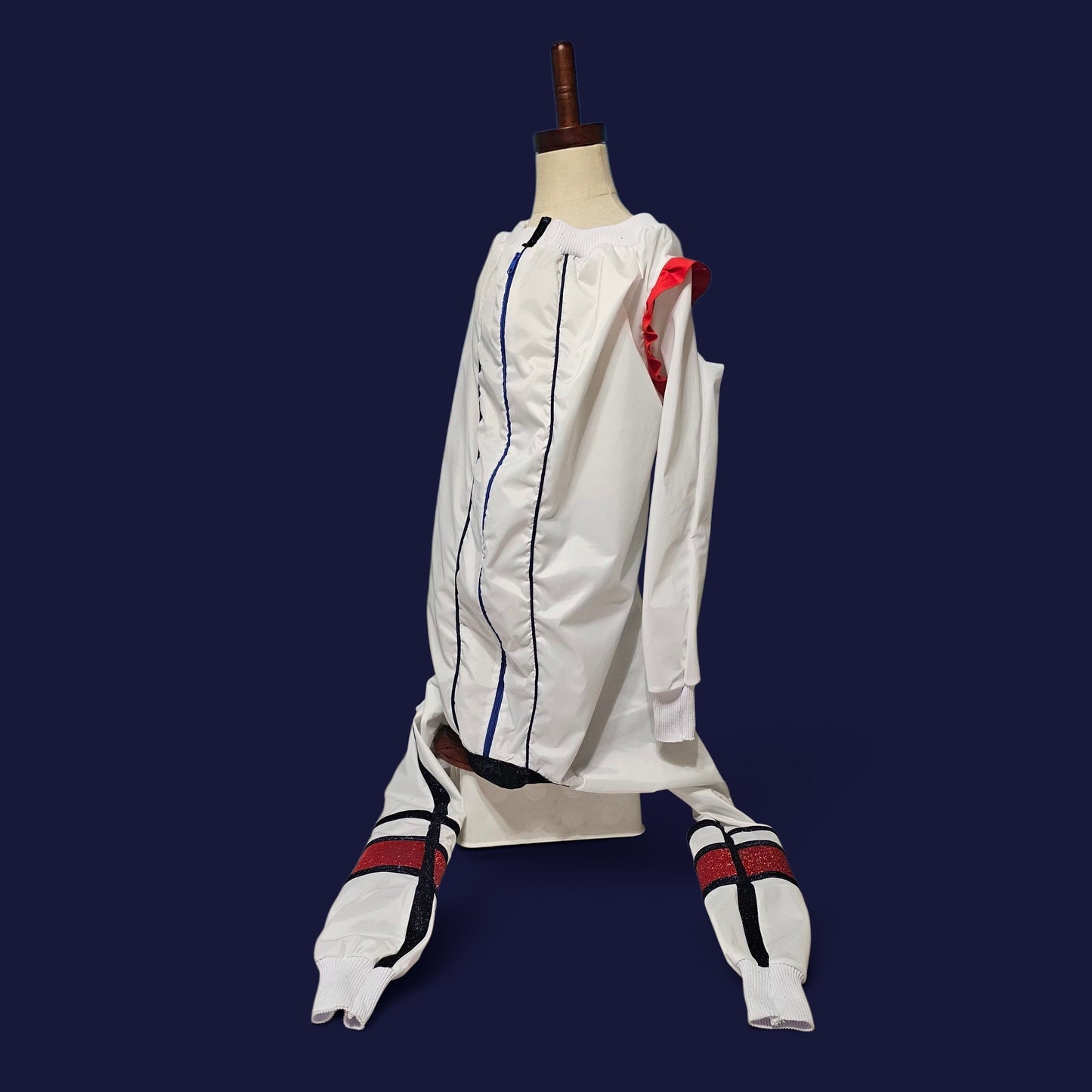 80s USA pet track suit, Whitney super bowl pet costume