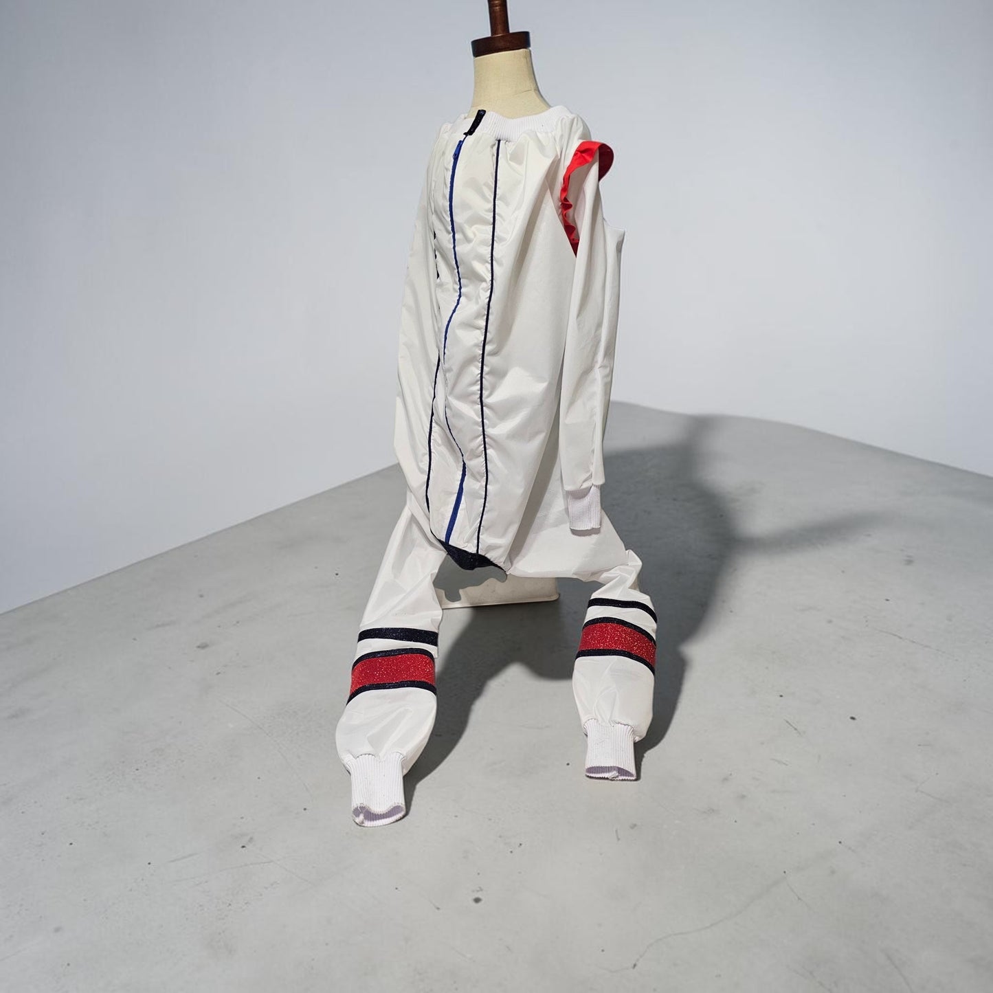 80s USA pet track suit, Whitney super bowl pet costume