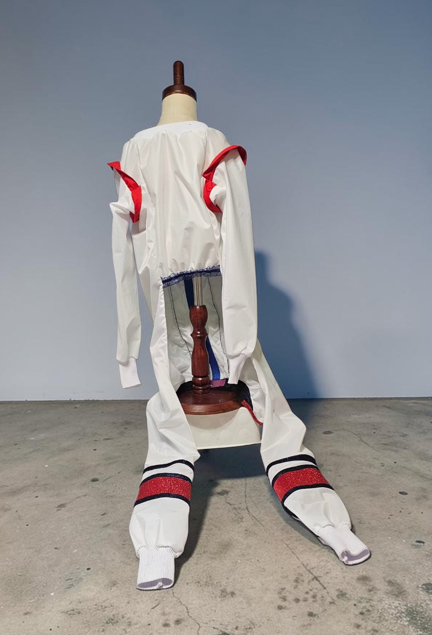 80s USA pet track suit, Whitney super bowl pet costume