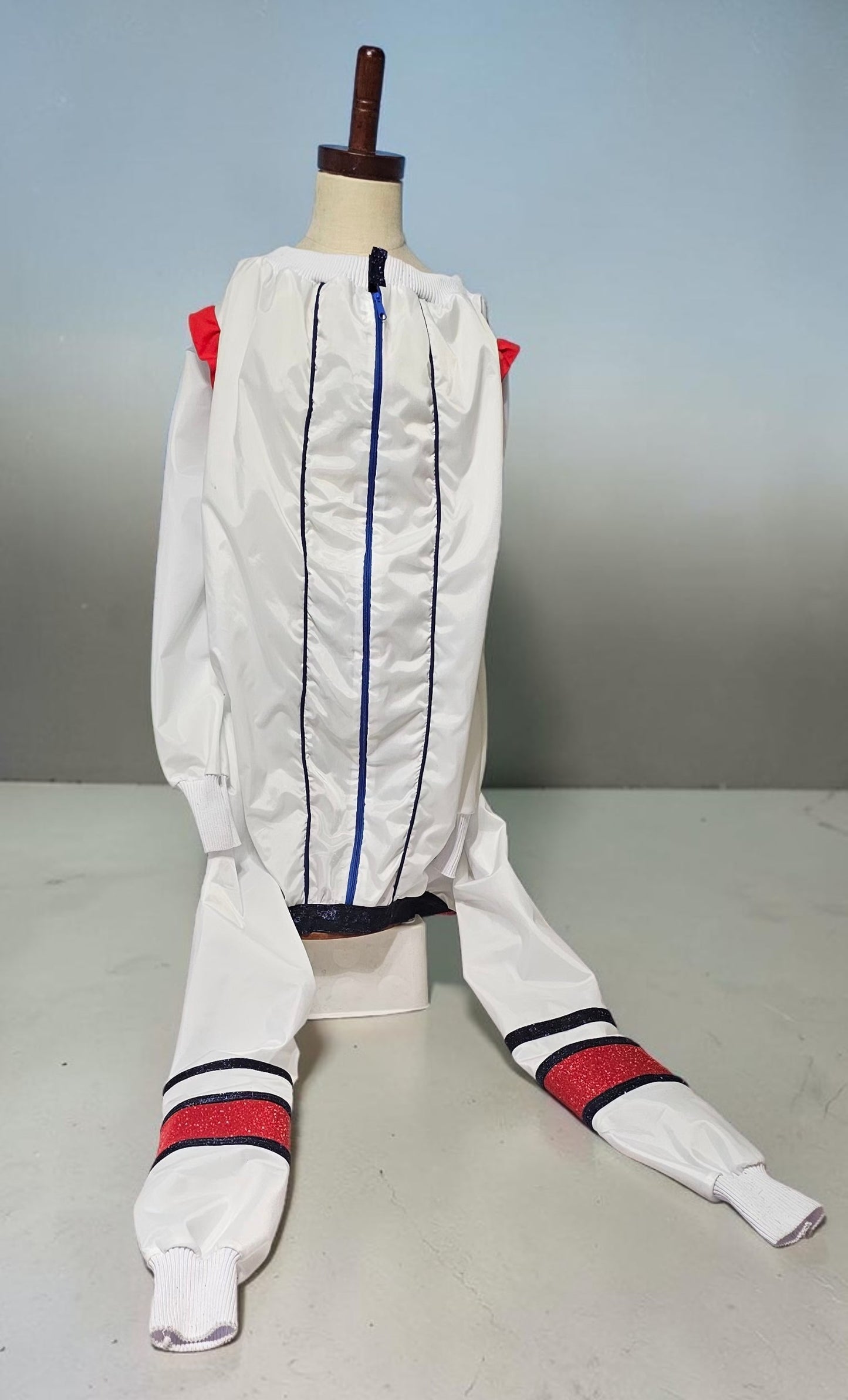 80s USA pet track suit, Whitney super bowl pet costume