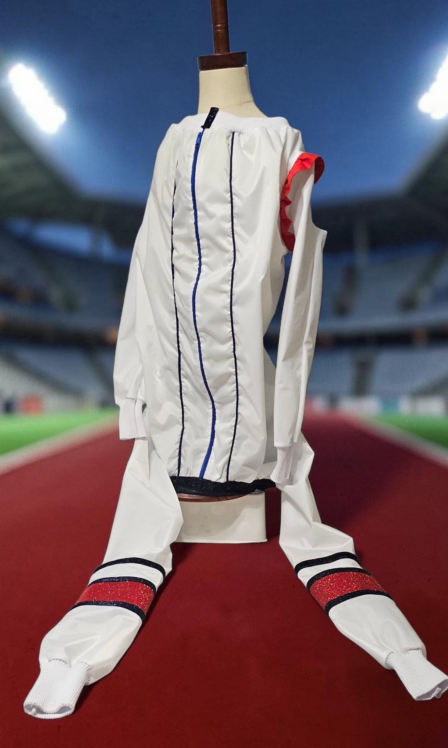 80s USA pet track suit, Whitney super bowl pet costume
