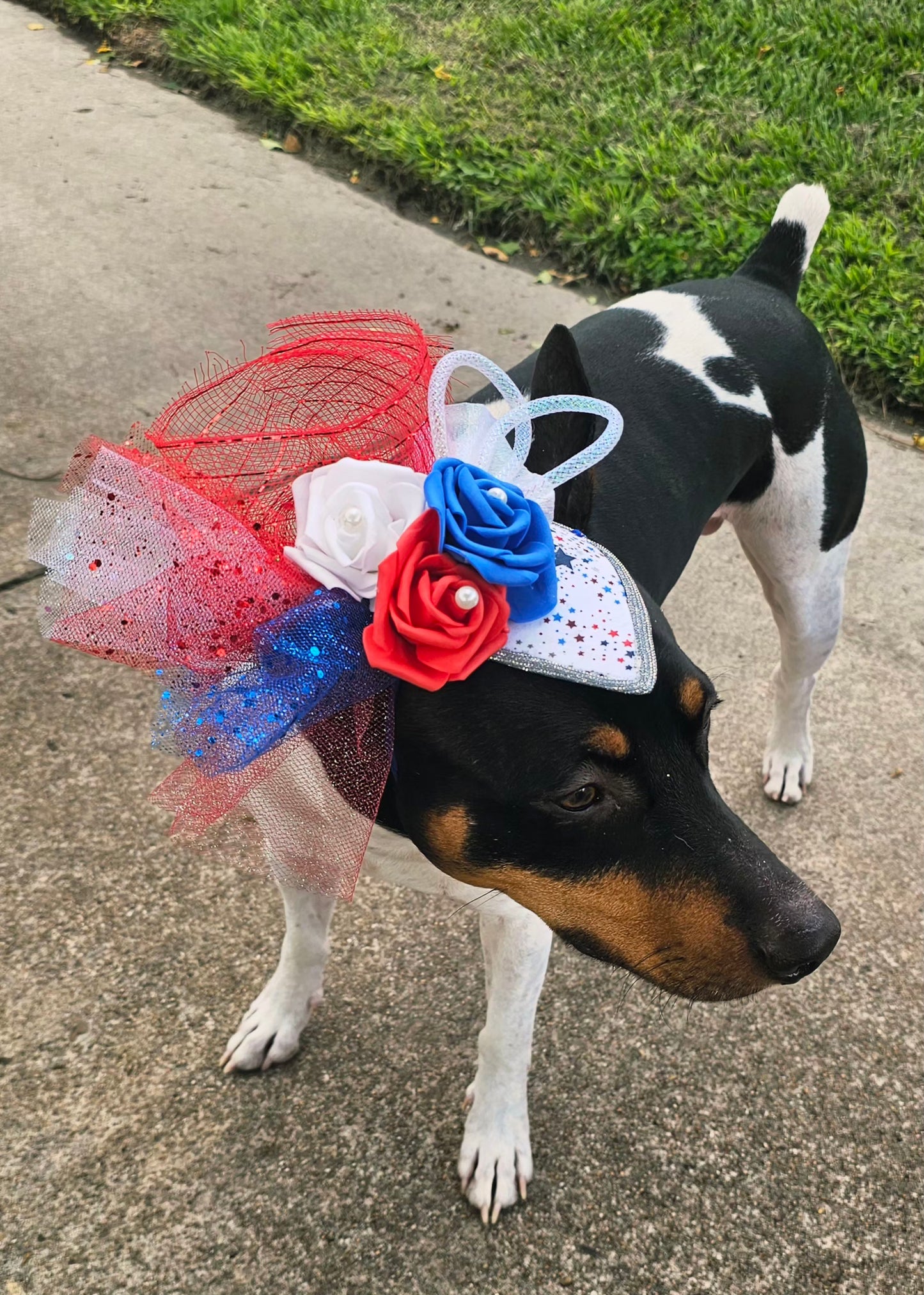 Patriotic pet fascinator hat, Patriotic Kentucky derby Pet Hat, Dog fascinator