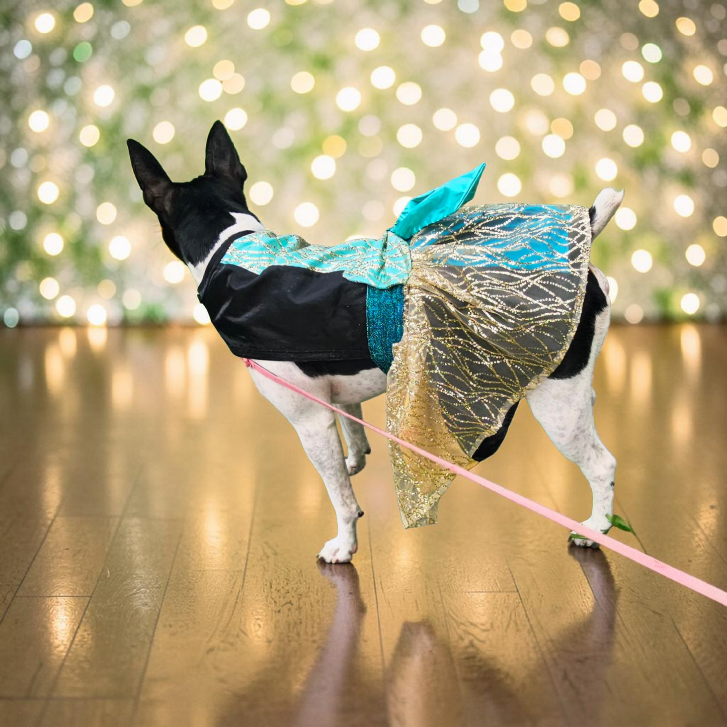 Glitter tulle special occasion pet dress, black, gold, teal pet dress