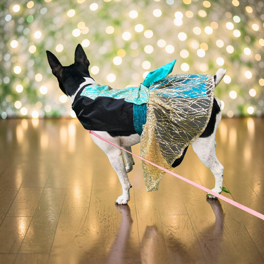Glitter tulle special occasion pet dress, black, gold, teal pet dress