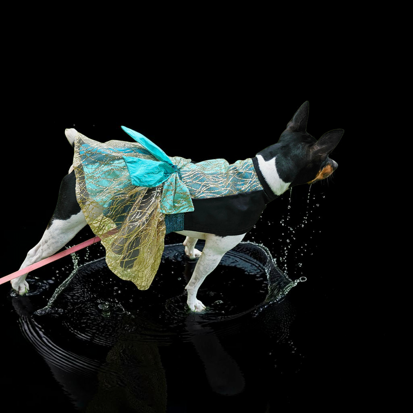 Glitter tulle special occasion pet dress, black, gold, teal pet dress