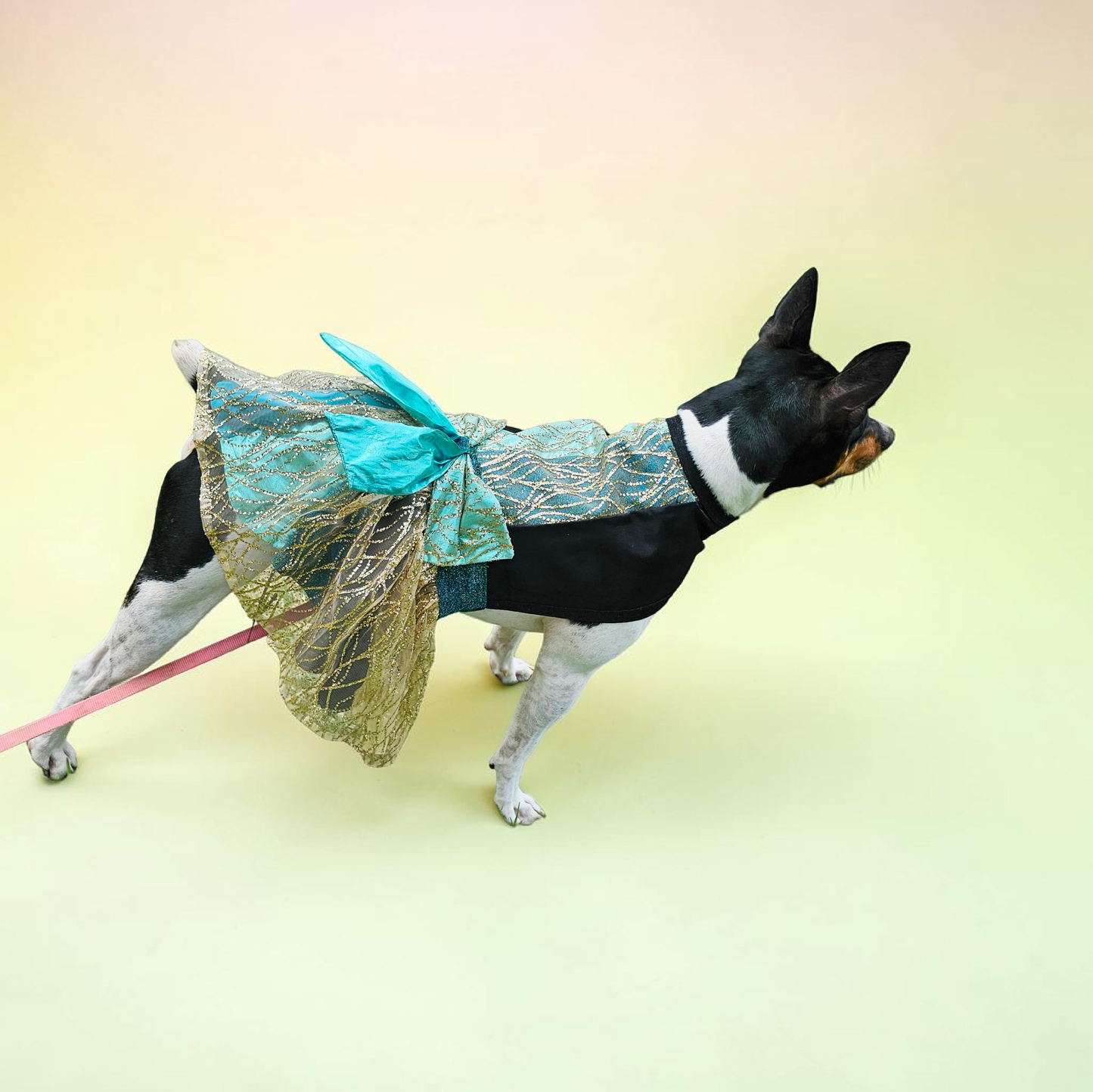 Glitter tulle special occasion pet dress, black, gold, teal pet dress