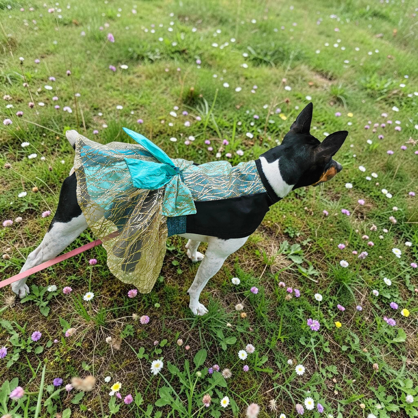 Glitter tulle special occasion pet dress, black, gold, teal pet dress