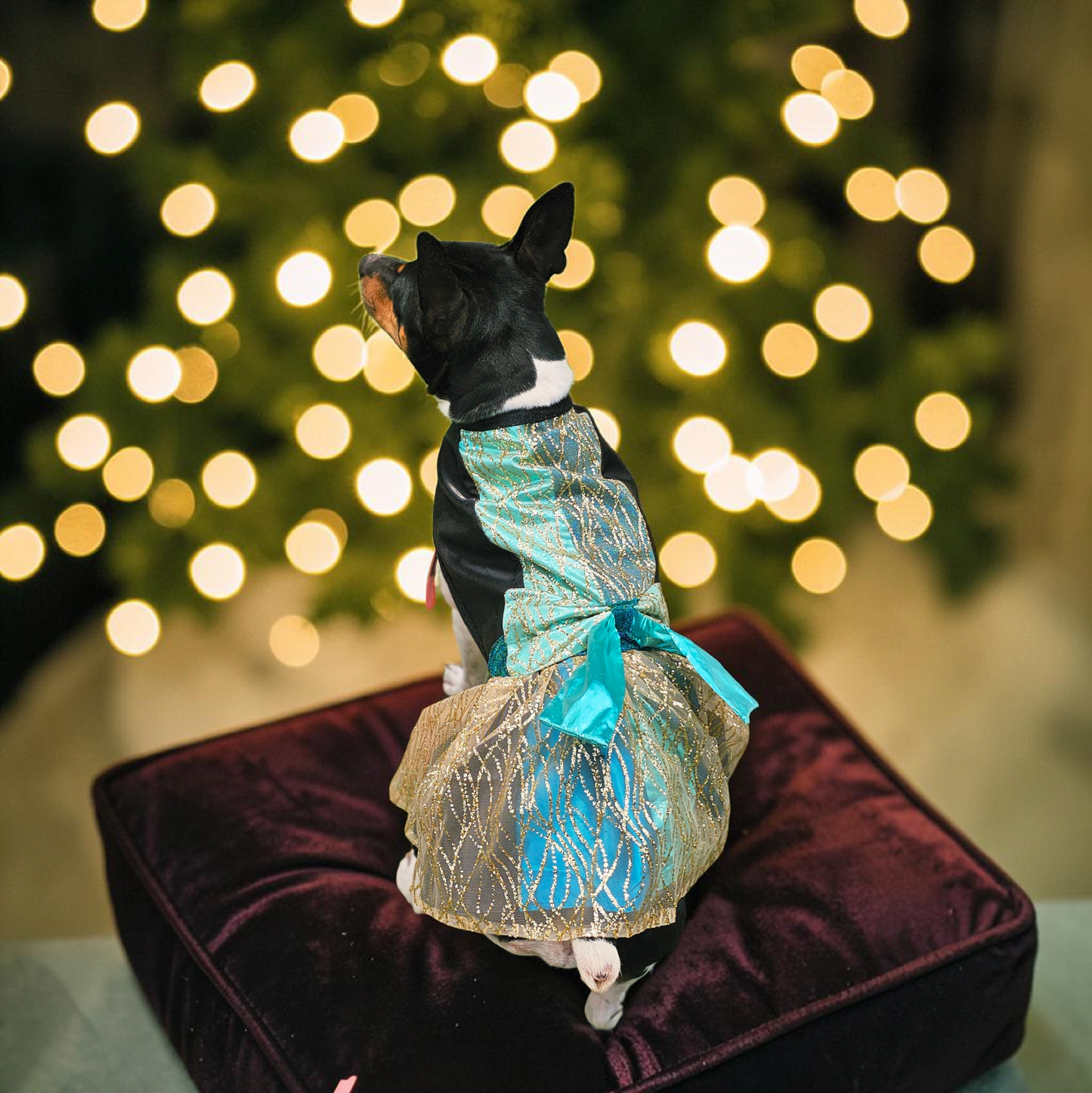 Glitter tulle special occasion pet dress, black, gold, teal pet dress