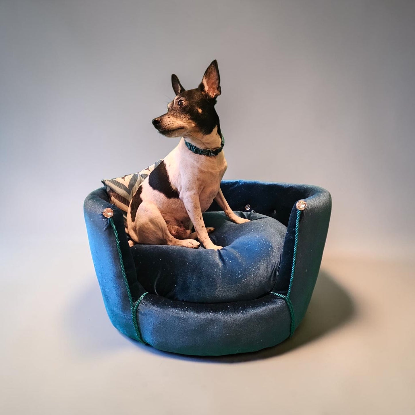 Glitter round velvet luxury pet bed, custom dog beds
