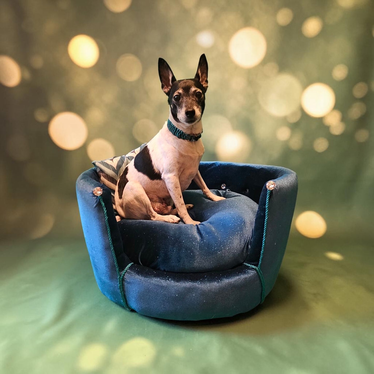 Glitter round velvet luxury pet bed, custom dog beds