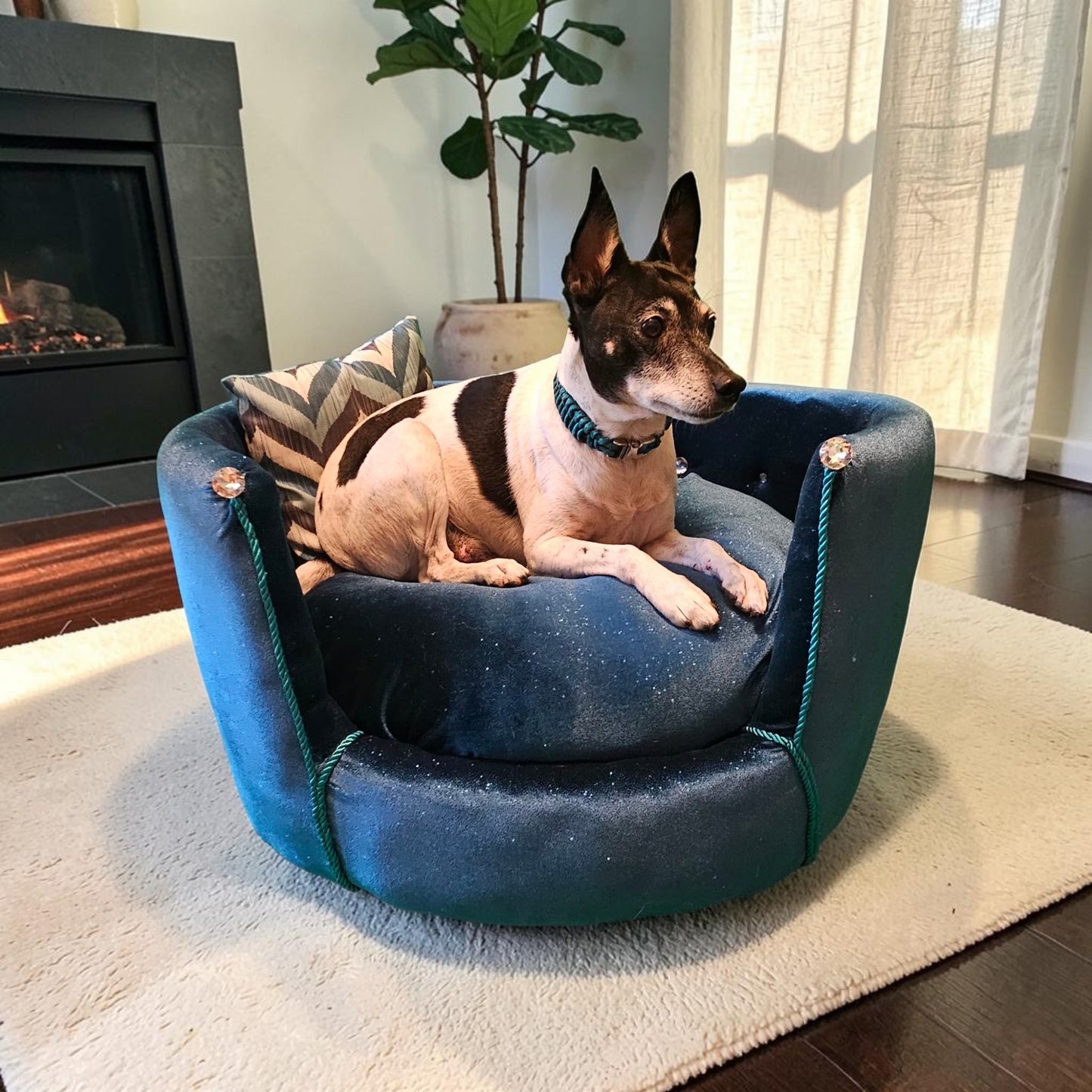 Glitter round velvet luxury pet bed, custom dog beds