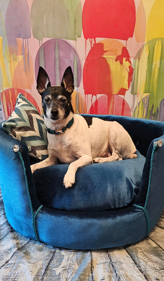 Glitter round velvet luxury pet bed, custom dog beds