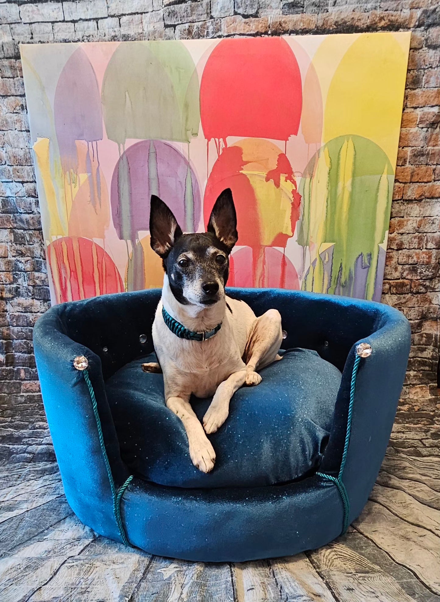 Glitter round velvet luxury pet bed, custom dog beds