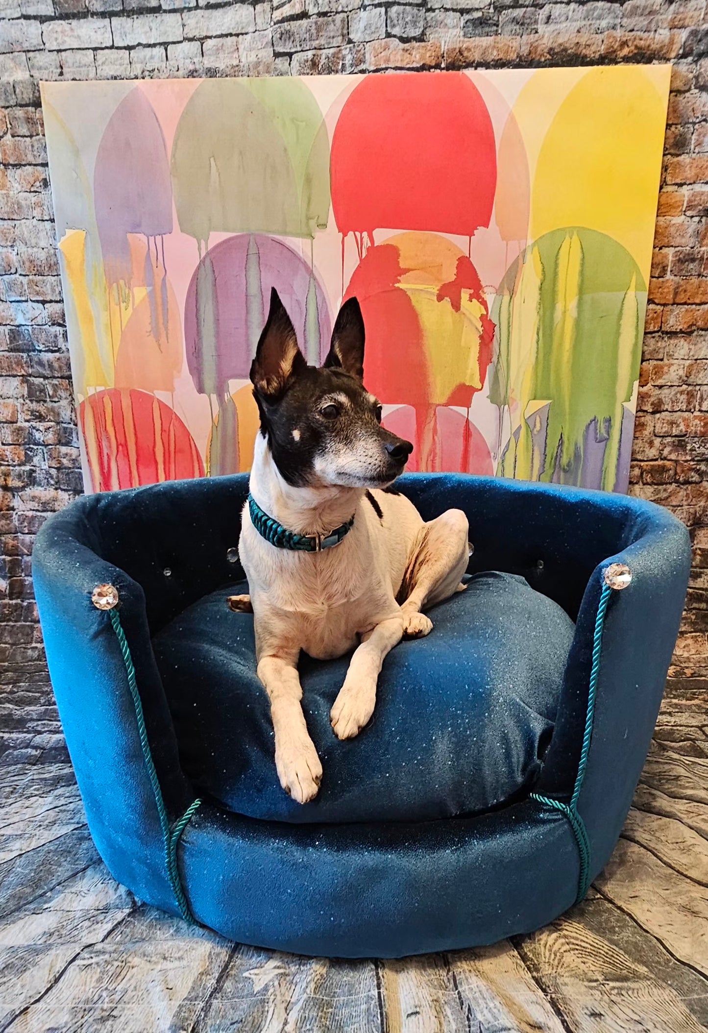 Glitter round velvet luxury pet bed, custom dog beds