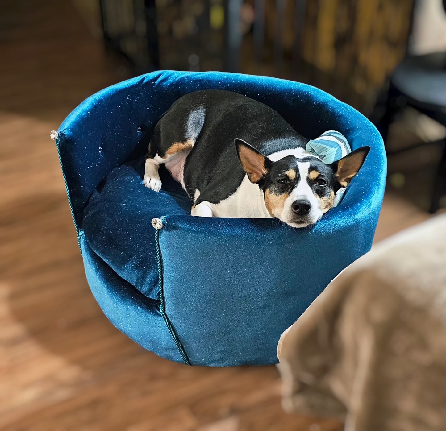 Glitter round velvet luxury pet bed, custom dog beds