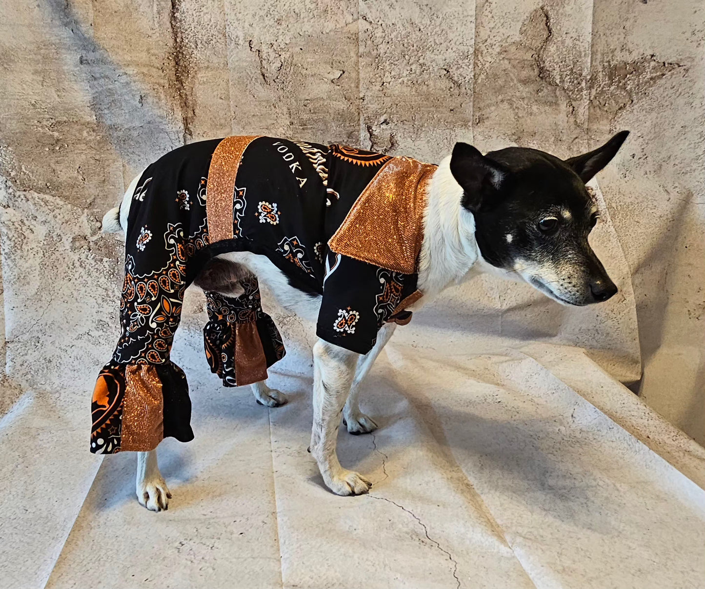 Tito's inspired pet body suit, glitter dog bodysuit, bell bottom jumper for pets