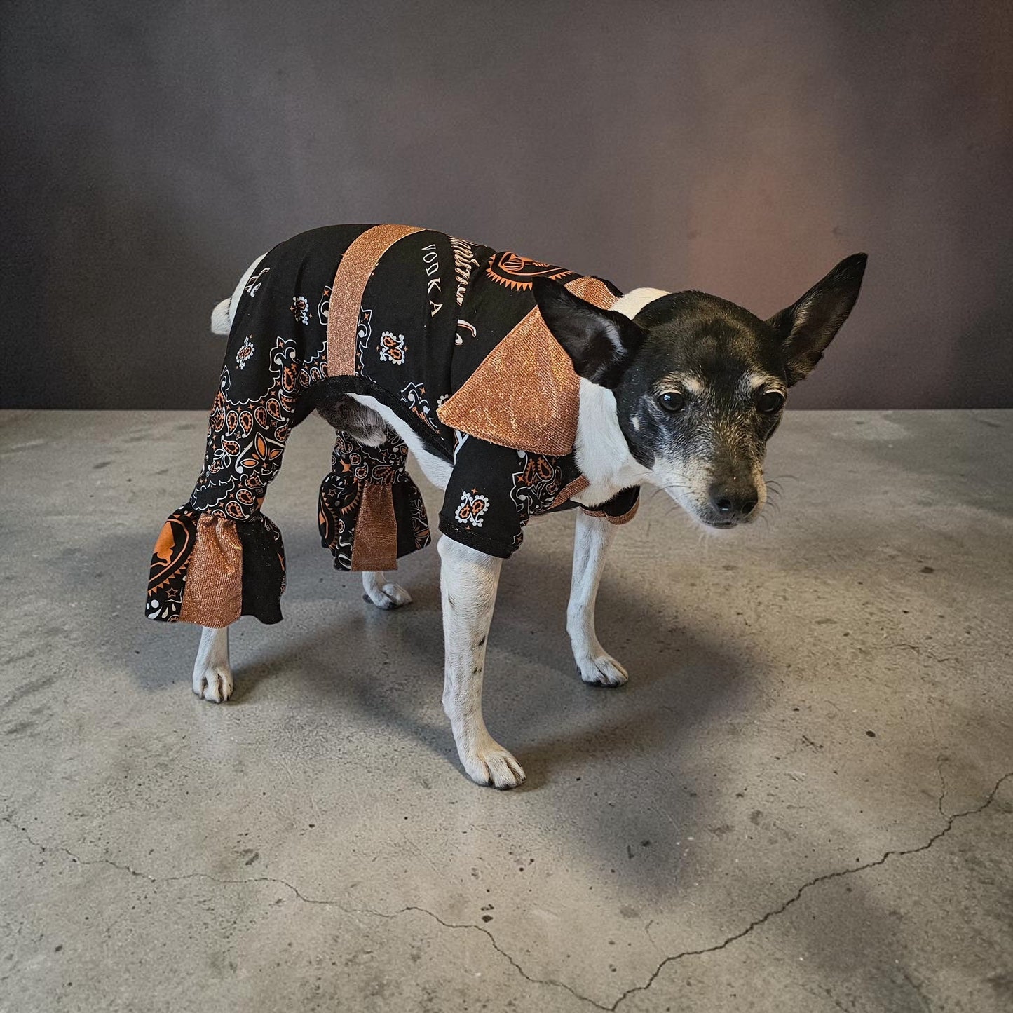 Tito's inspired pet body suit, glitter dog bodysuit, bell bottom jumper for pets