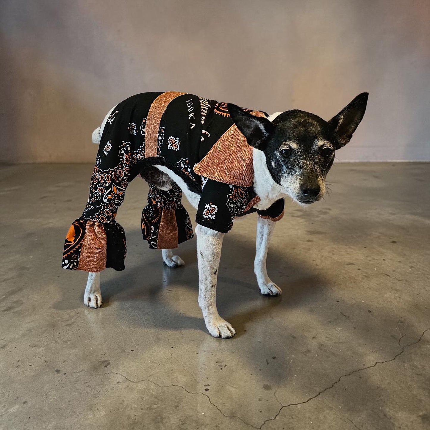 Tito's inspired pet body suit, glitter dog bodysuit, bell bottom jumper for pets